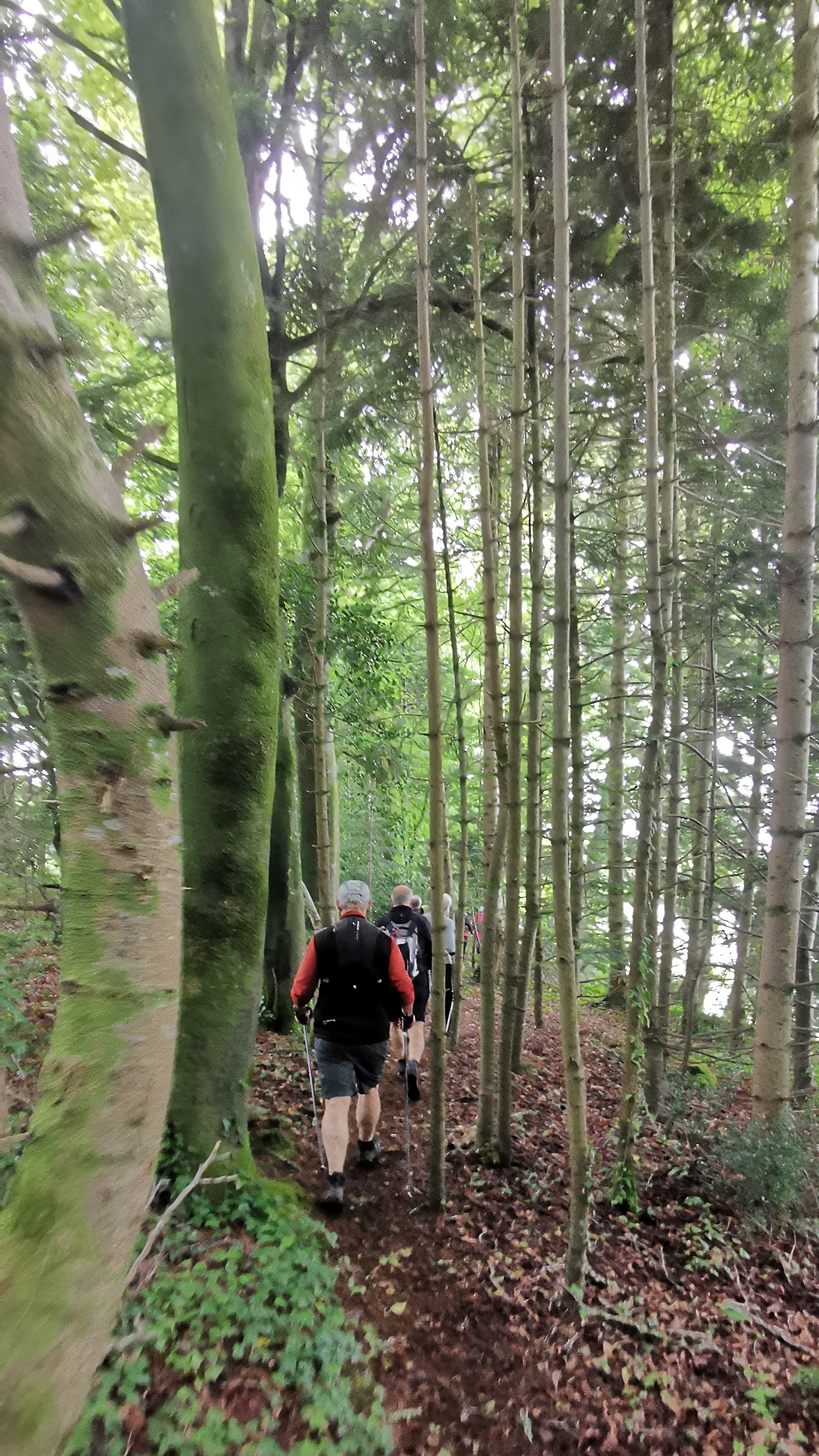 20-IMG_20210527_102719