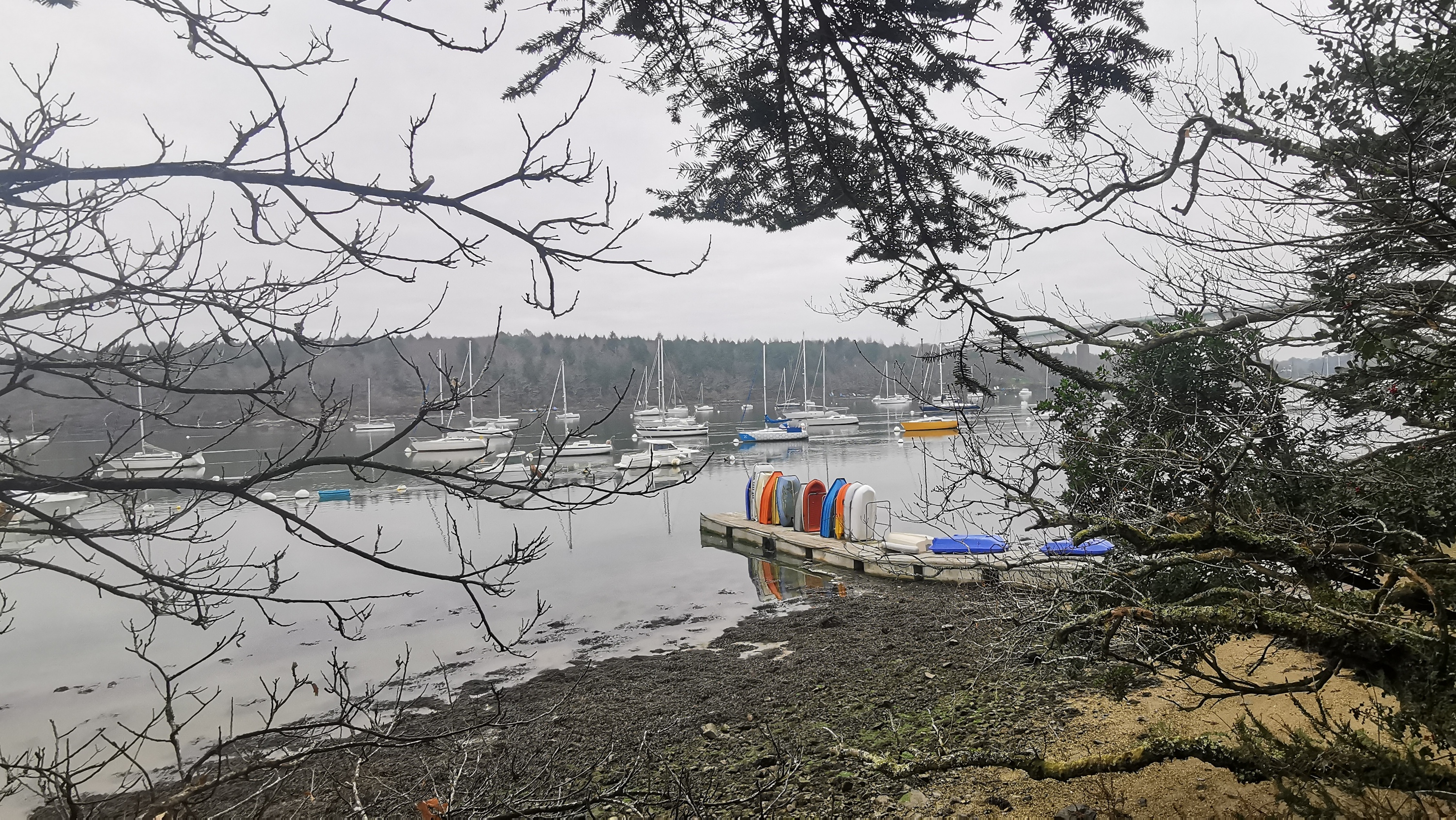 60-IMG_20210304_112103