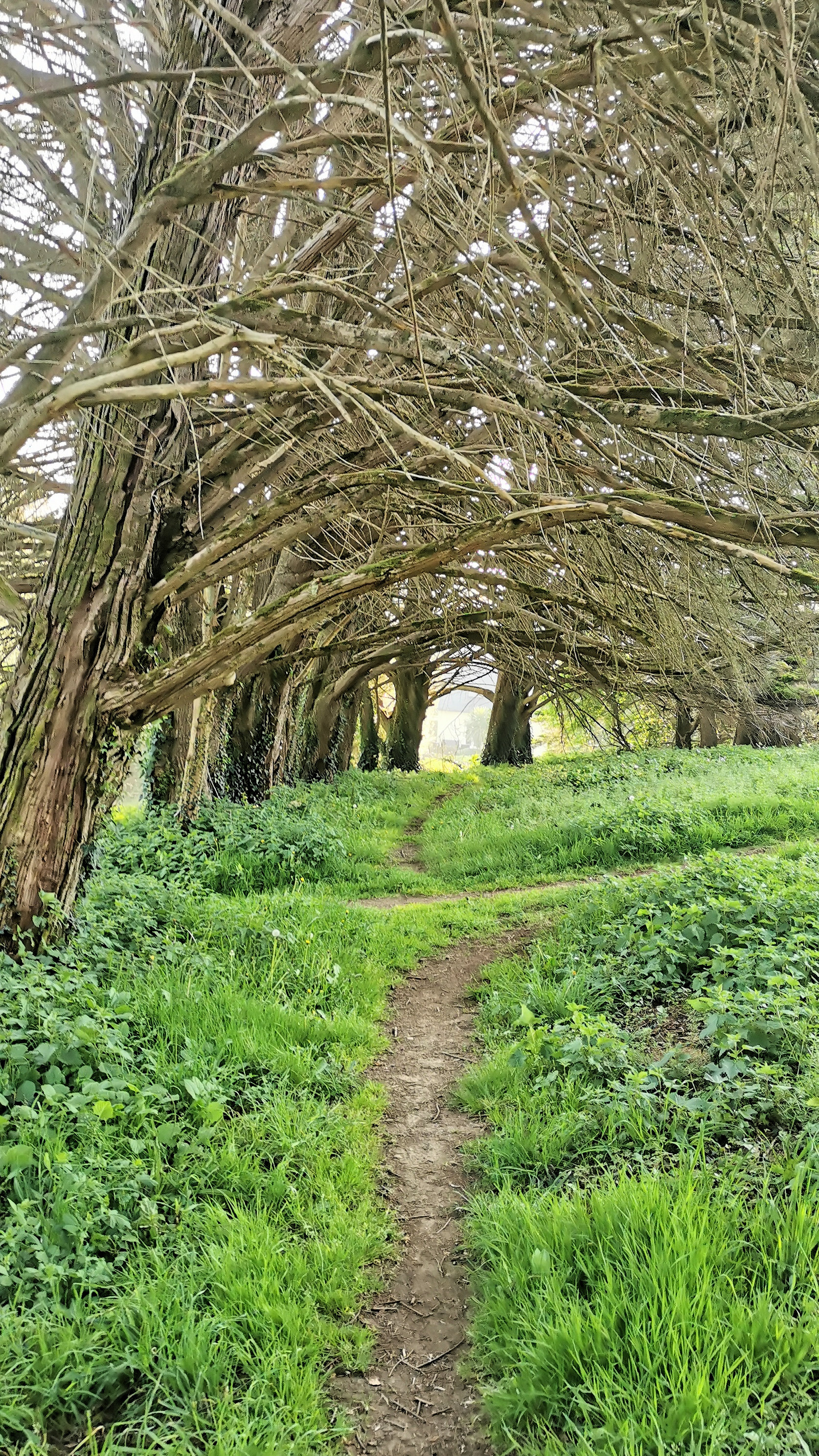 04-IMG_20210422_095123