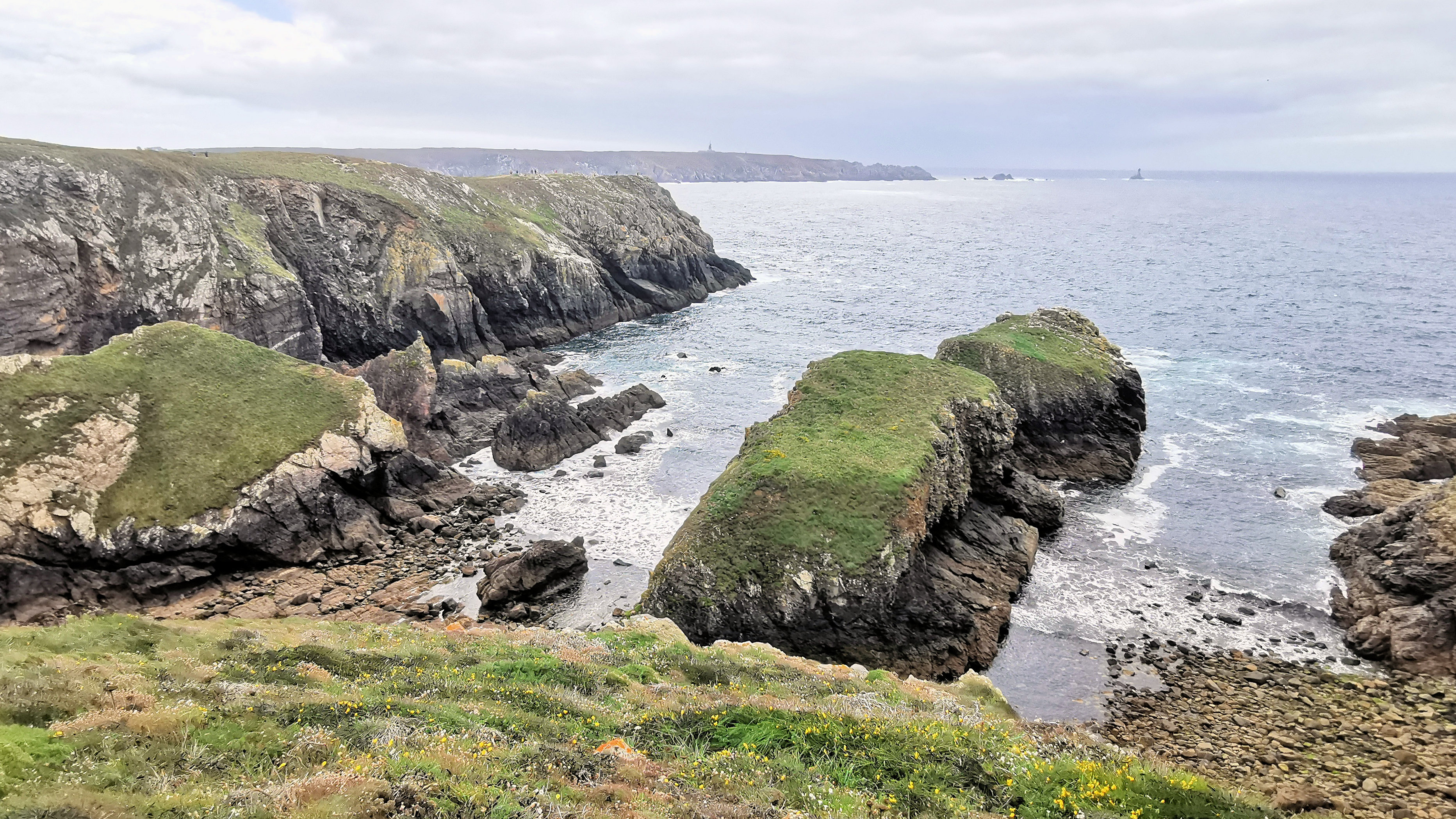 319-IMG_20210815_160253