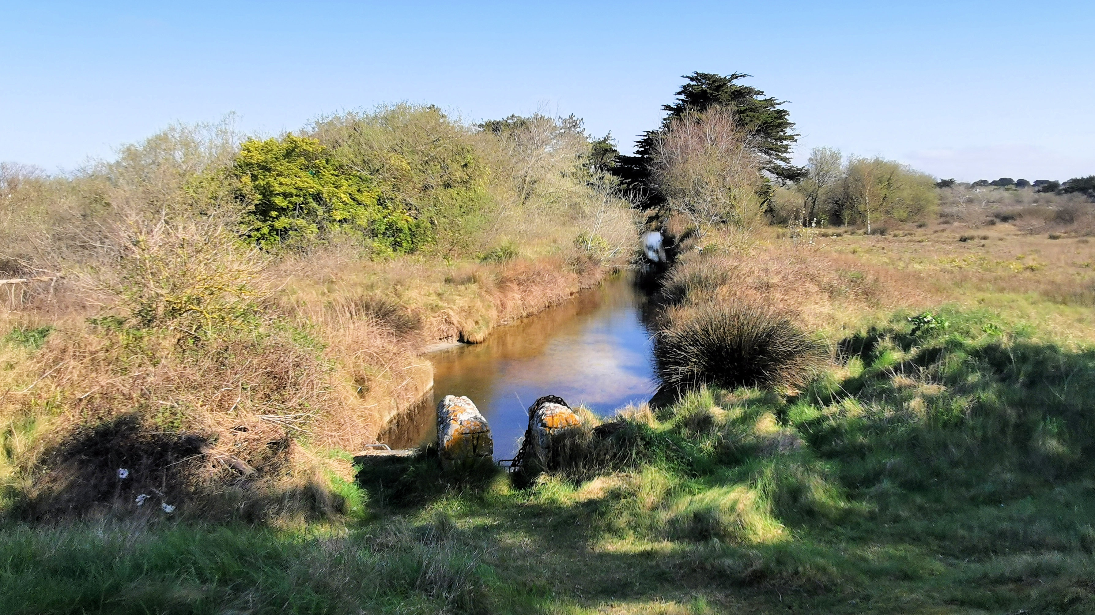 48-IMG_20210403_111554