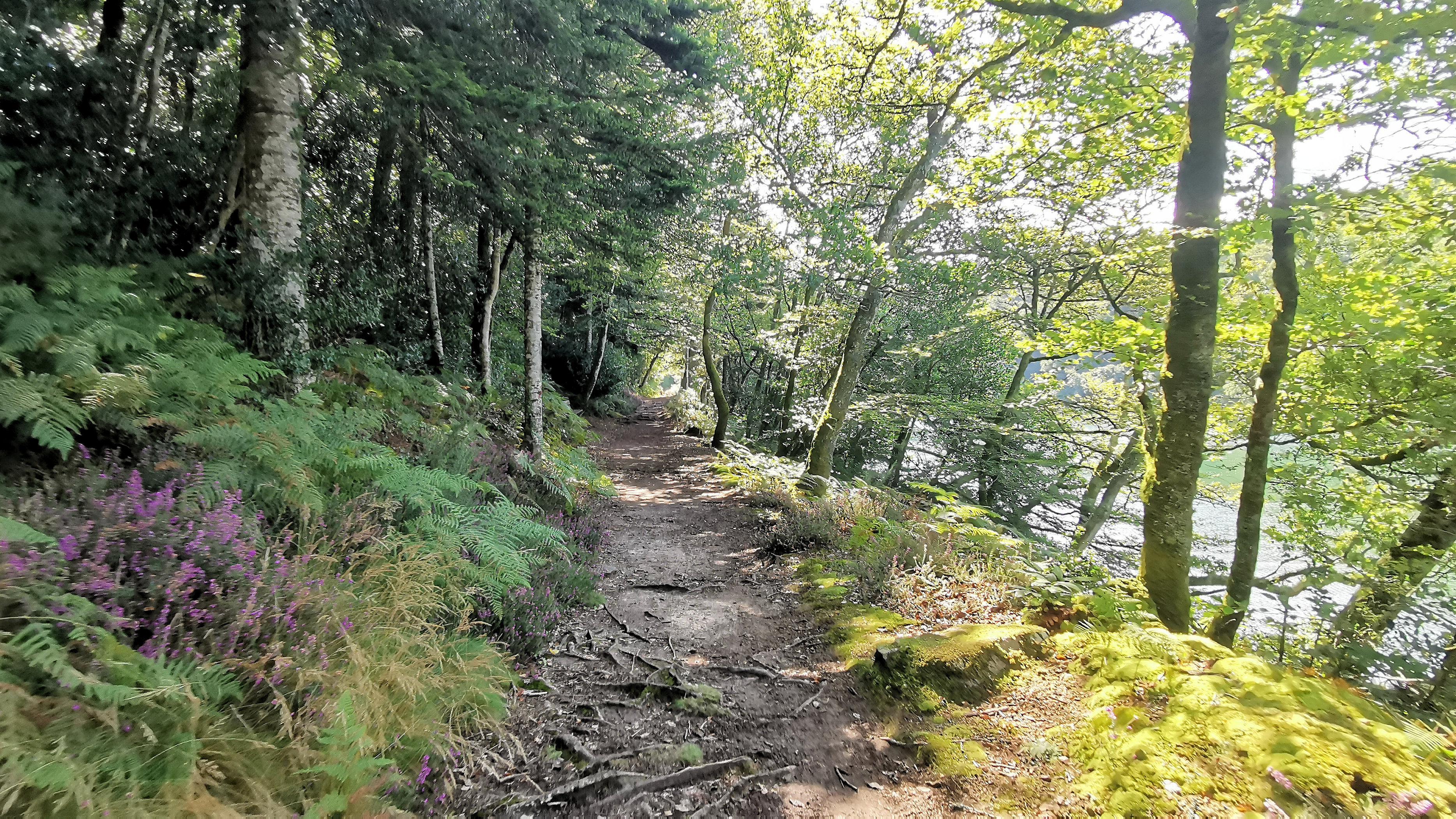 027-IMG_20210816_113133