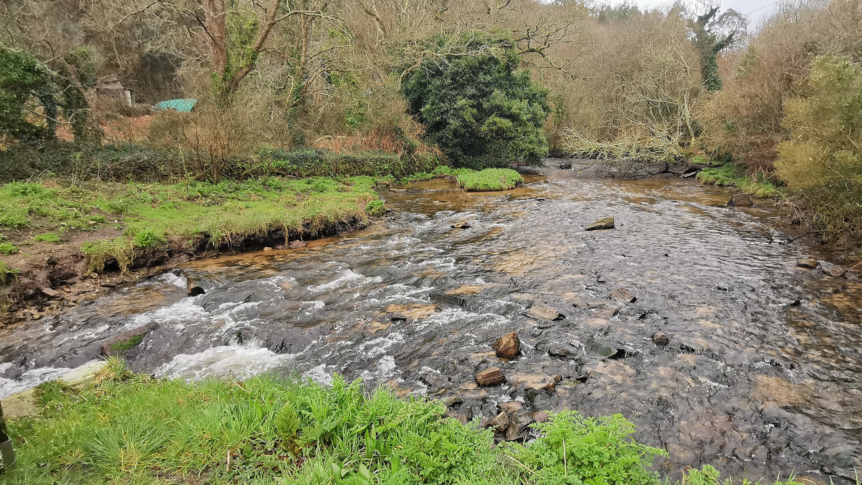 51-IMG_20210311_110728