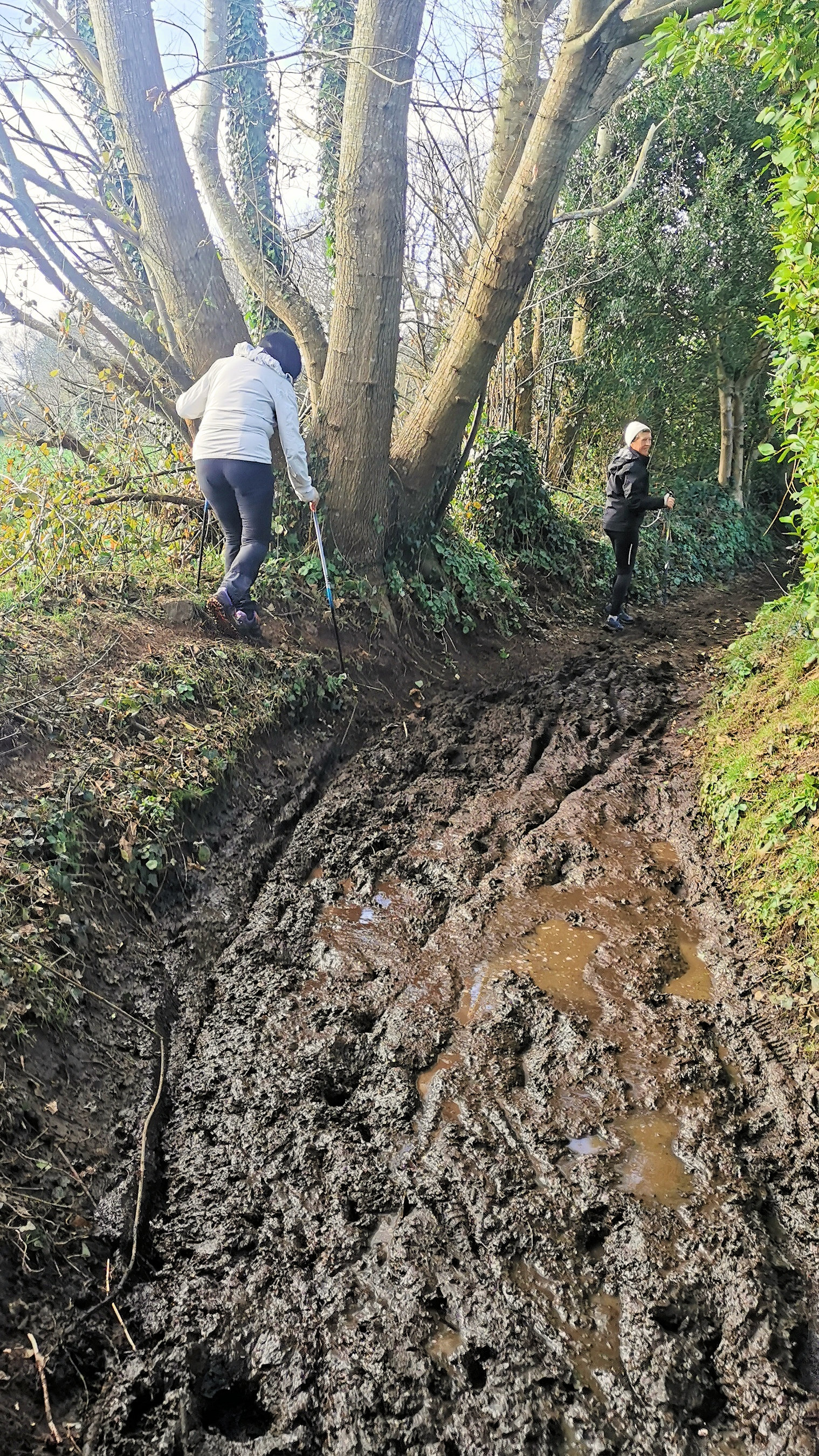 74-IMG_20210207_112443