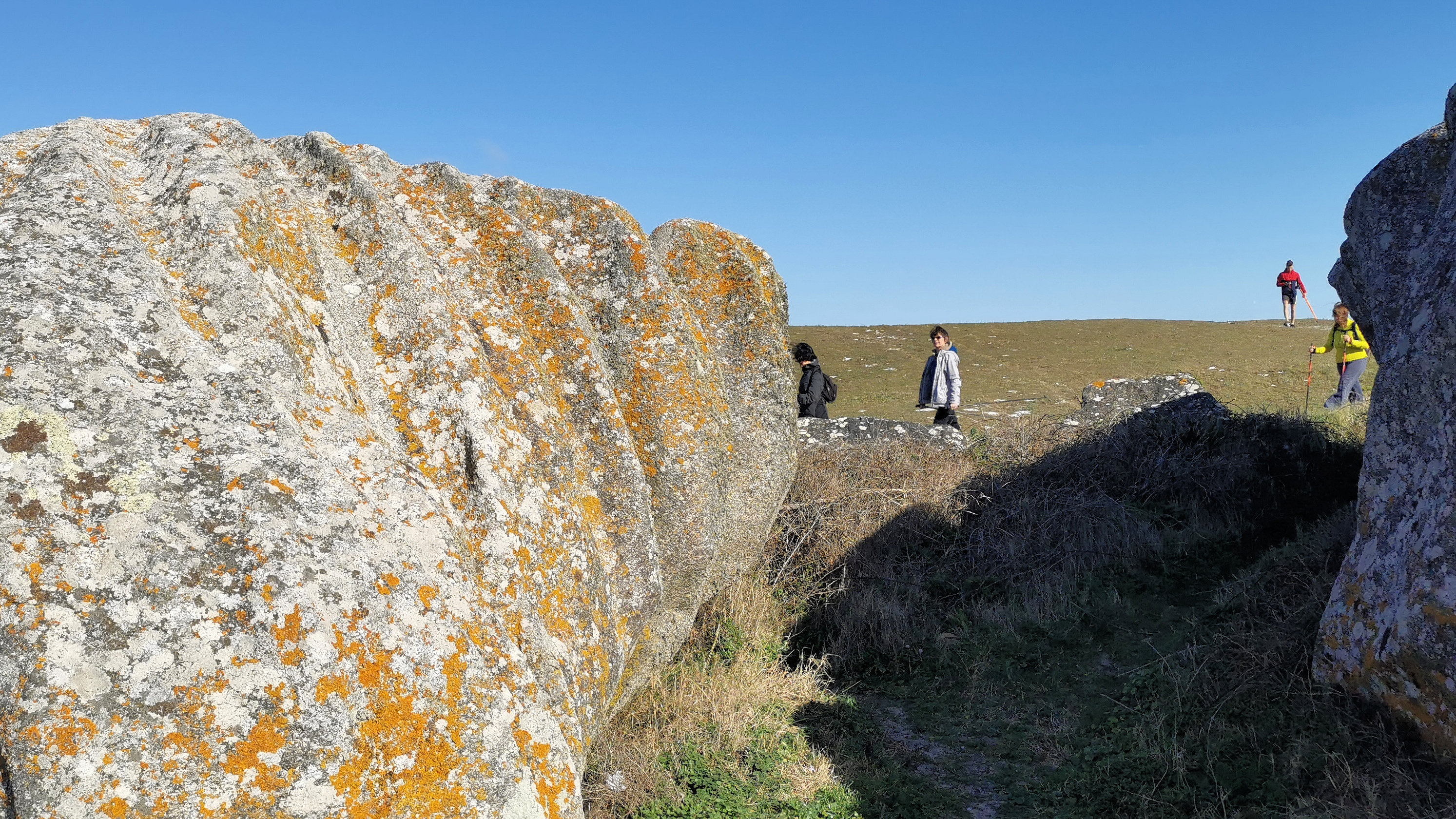 39-IMG_20210403_105838