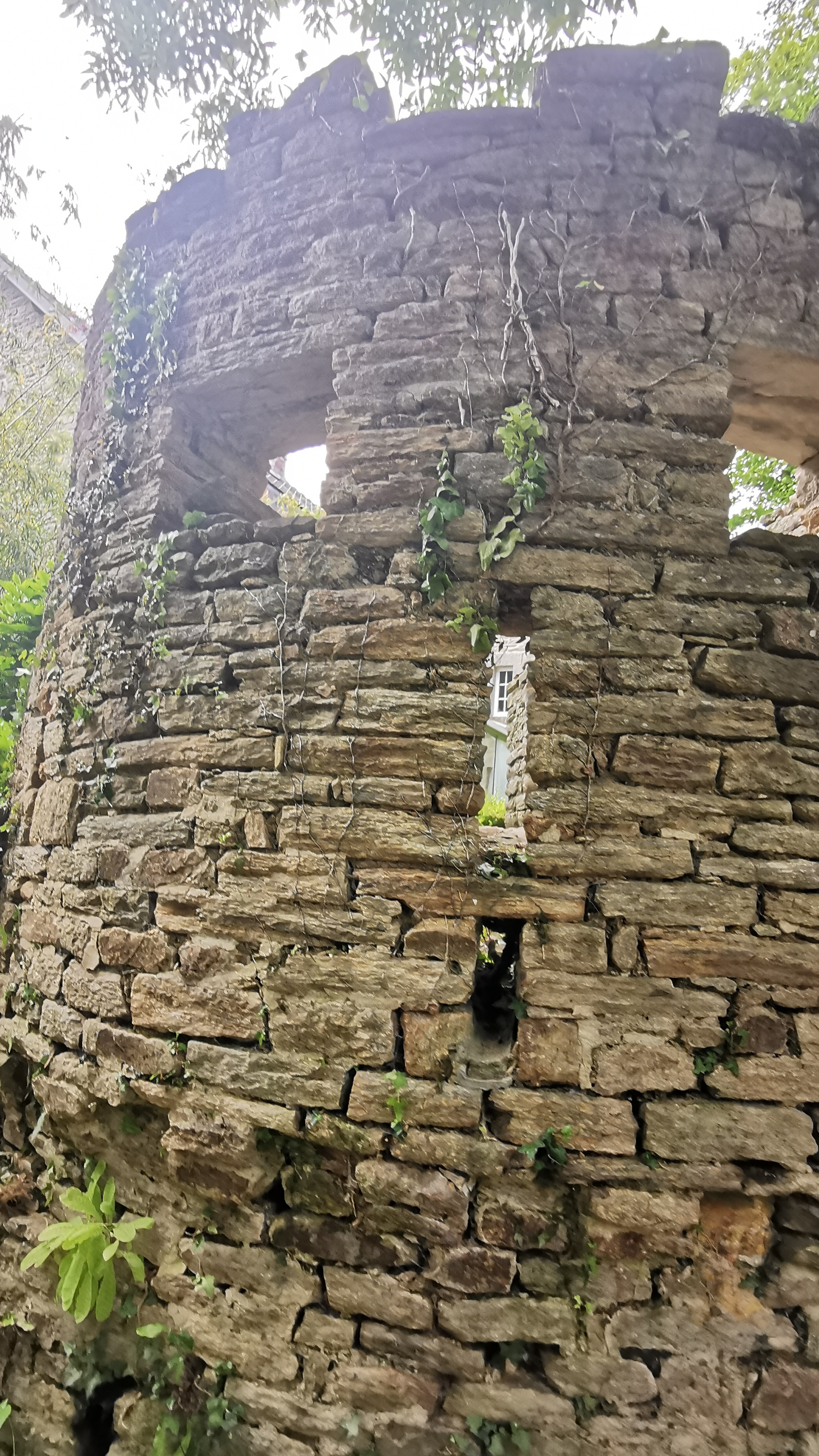 081-IMG_20210606_110535