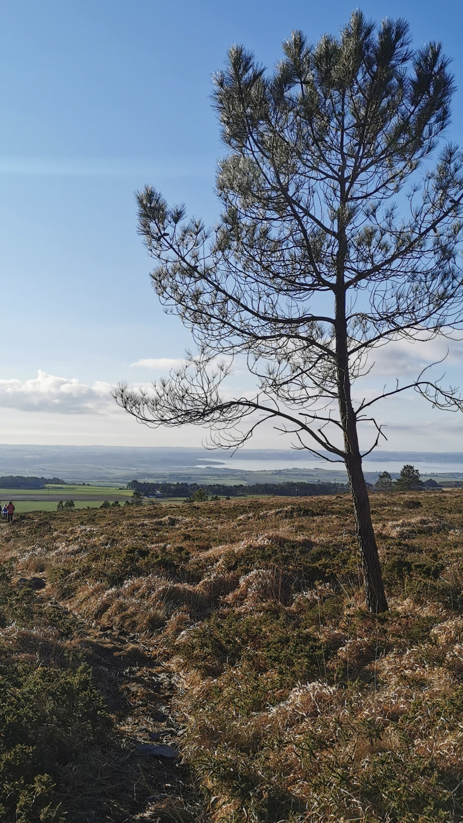 141-IMG_20210110_113313