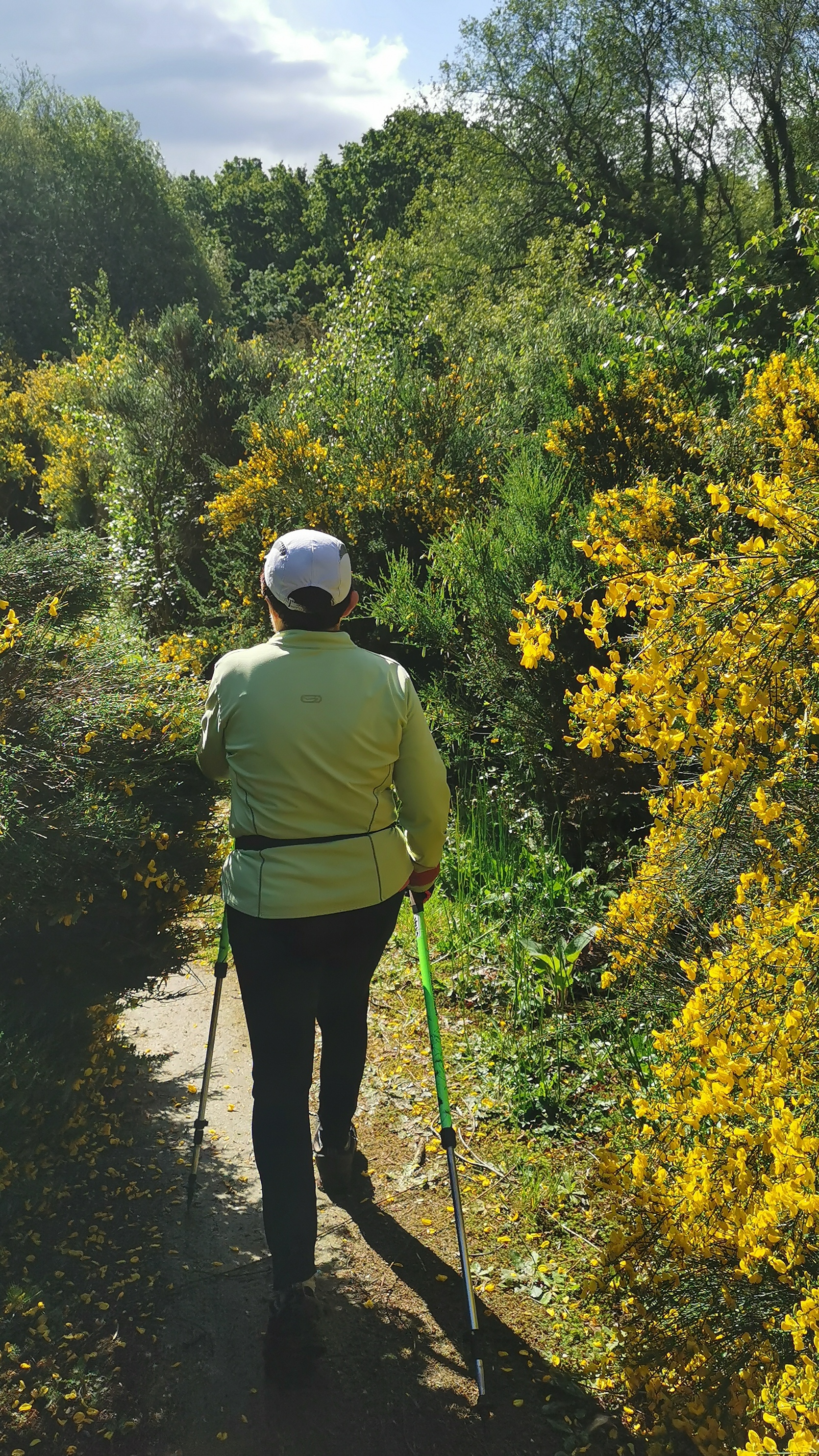 17-IMG_20210518_105557_1