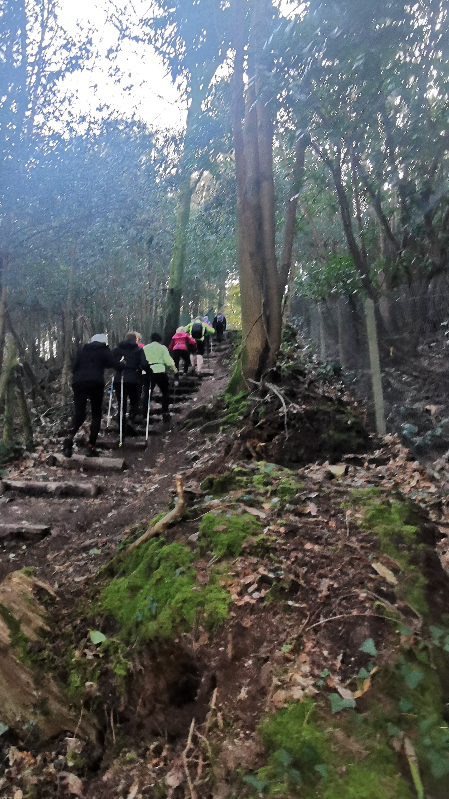 14-IMG_20210318_094922_1