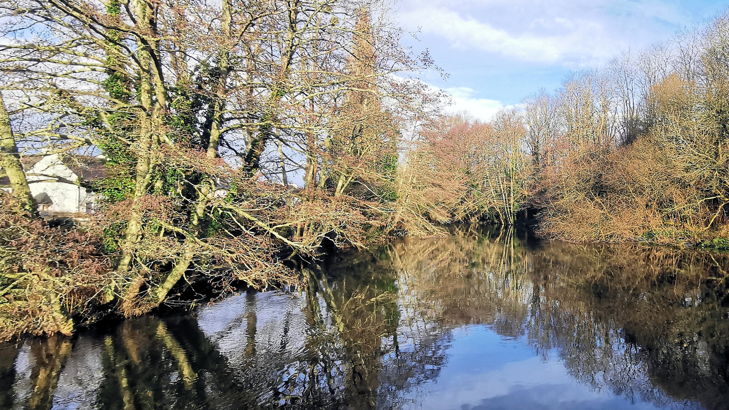 17-IMG_20210105_111147_1