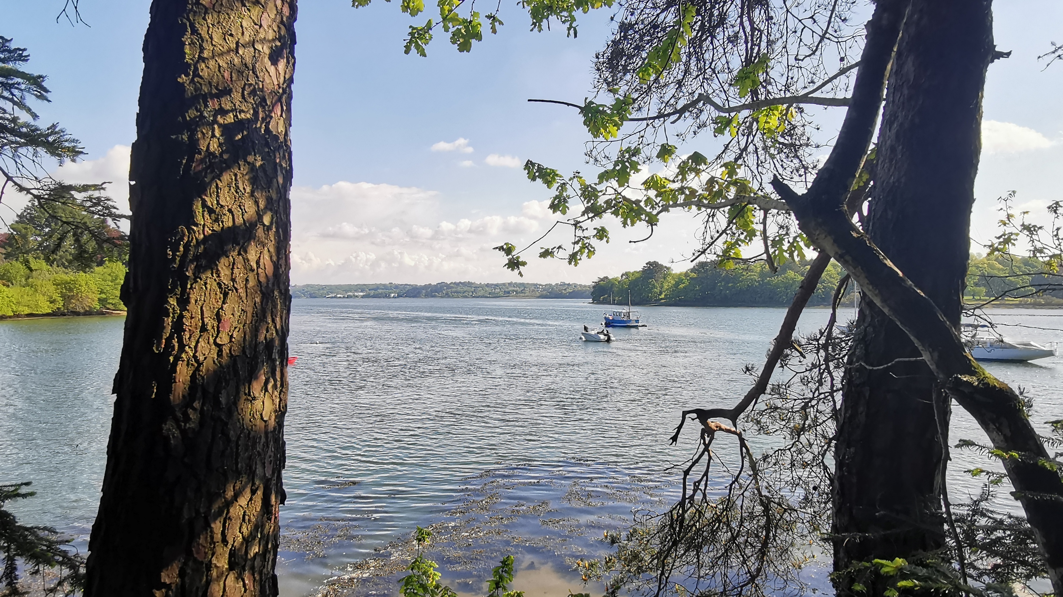 25-IMG_20210501_104856