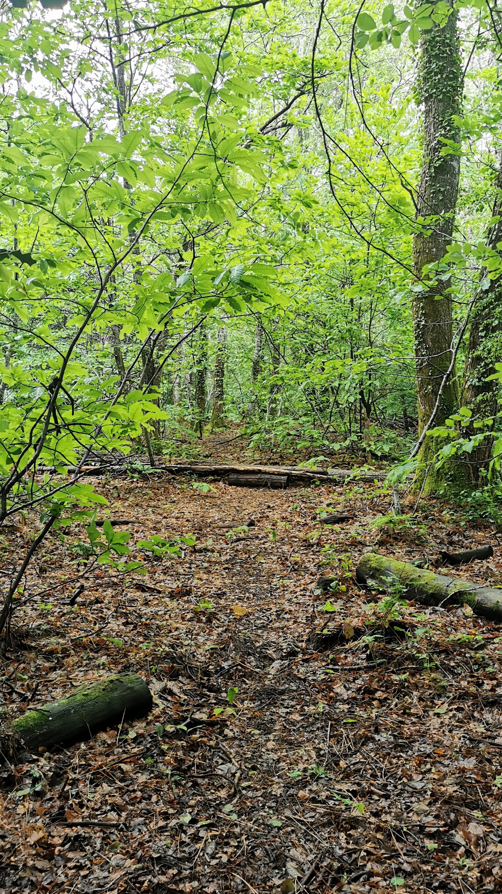 09-IMG_20210524_110350