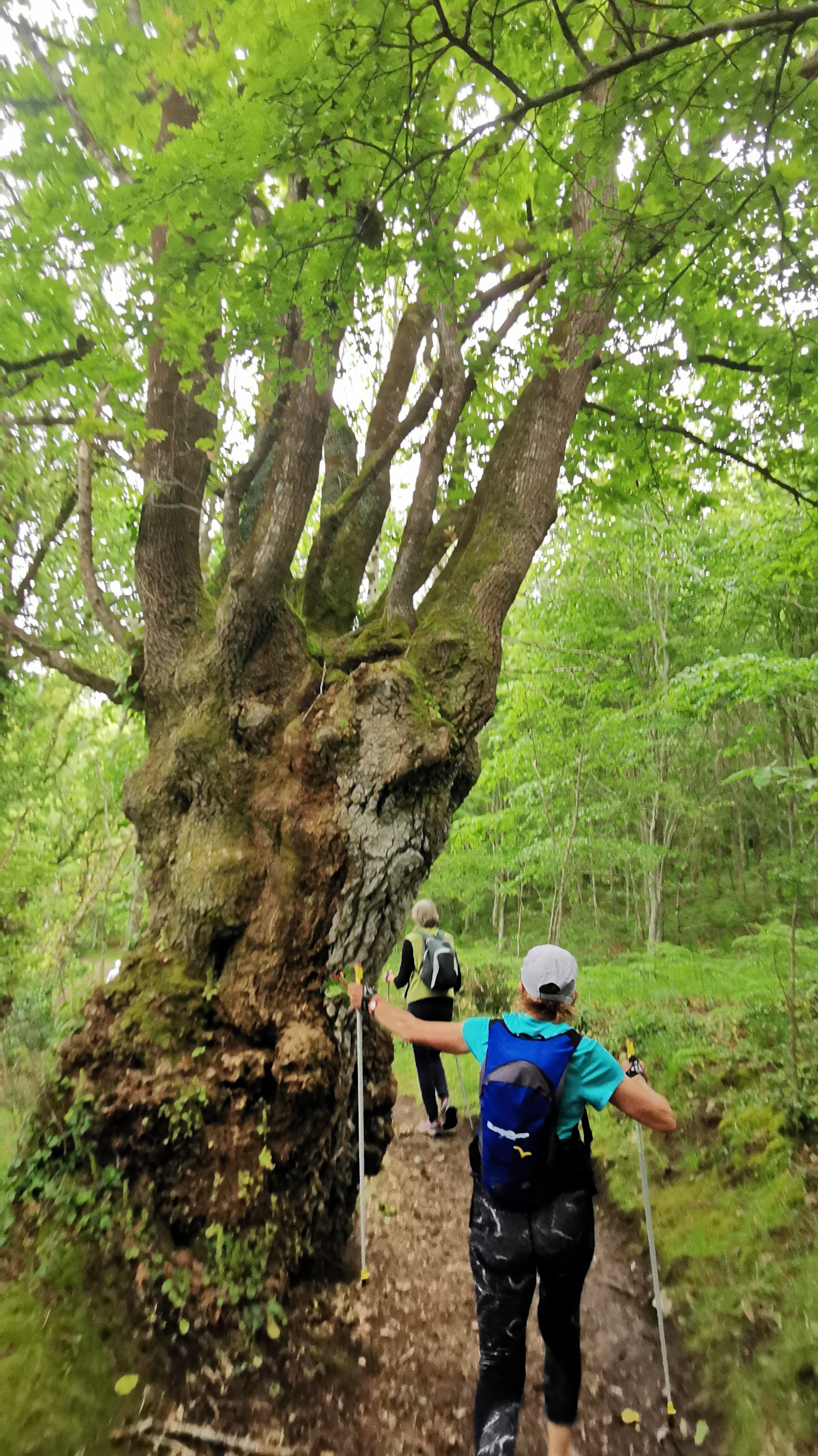 37-IMG_20210527_111100