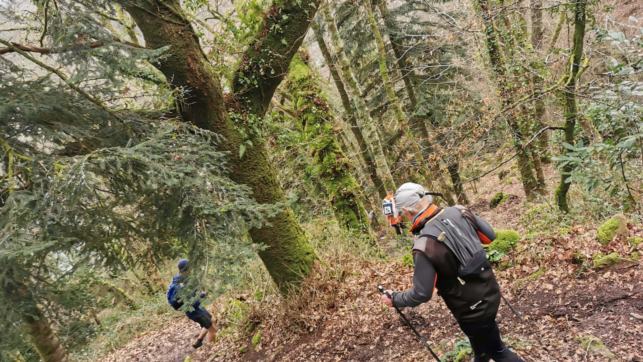 134-IMG_20210220_122337_1