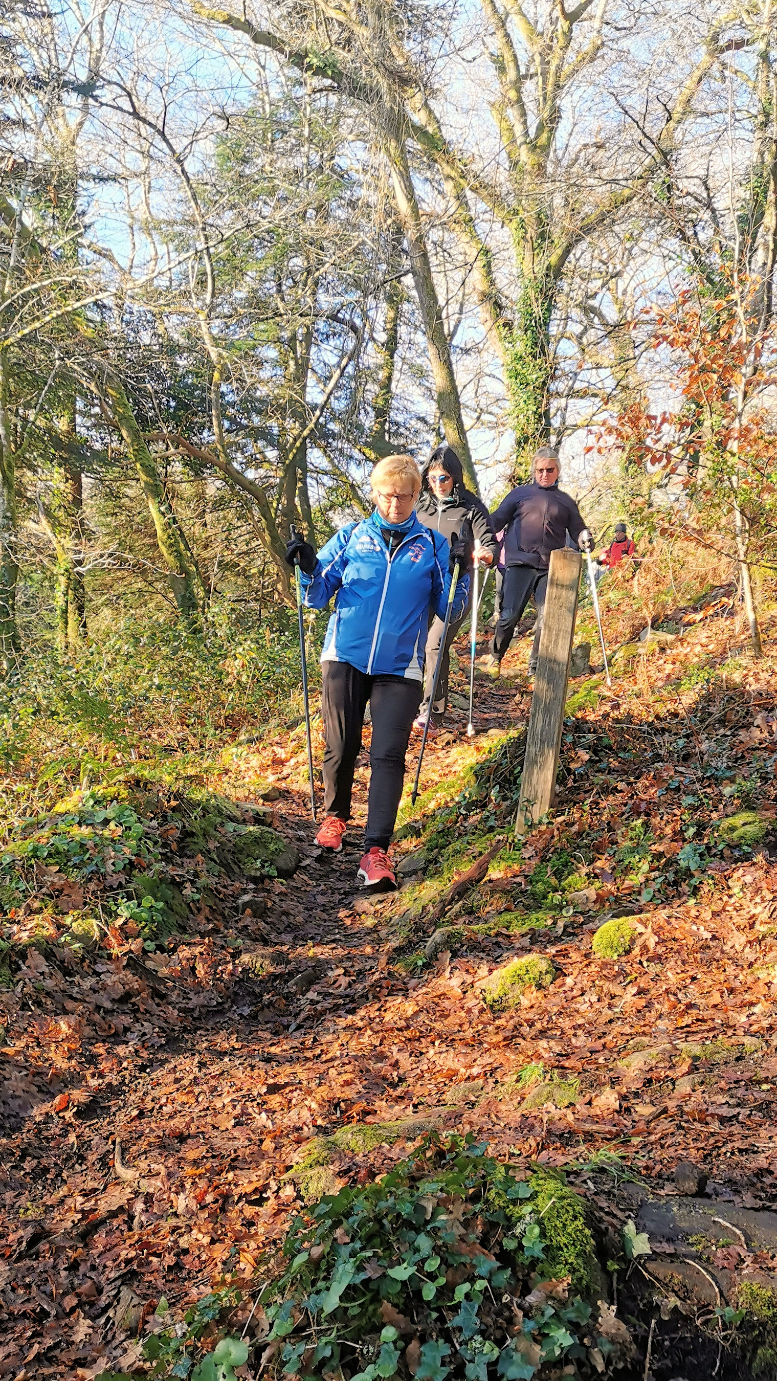 43-IMG_20210109_110402_1