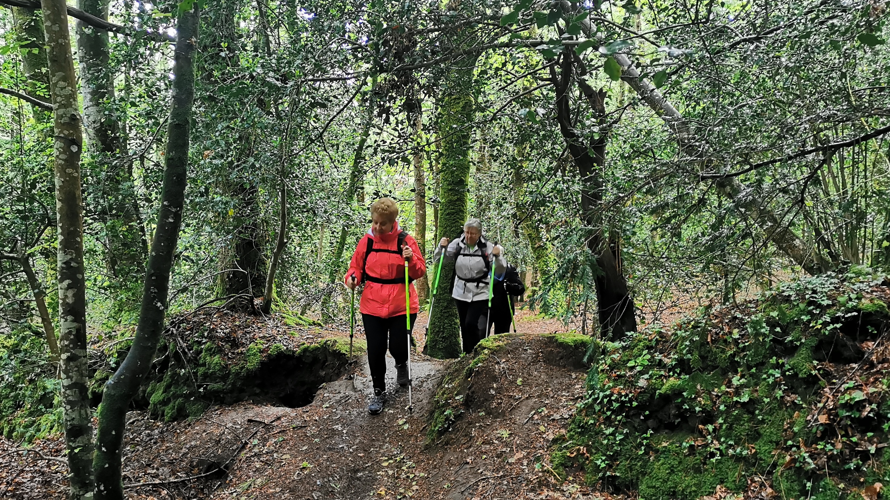 02-IMG_20210524_101940_1