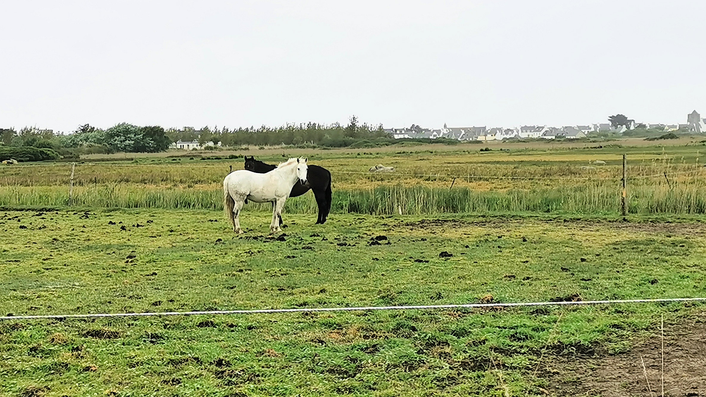 062-IMG_20210509_102913