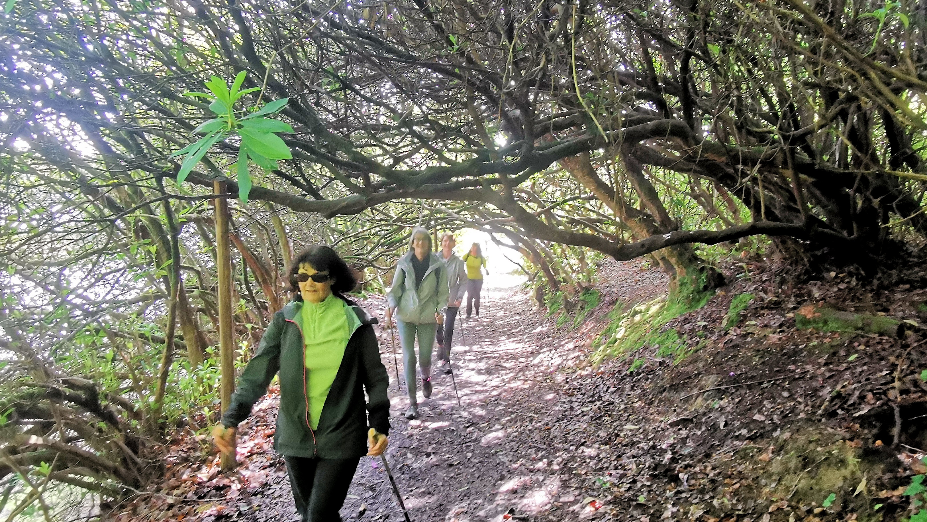 18-IMG_20210522_104859_1