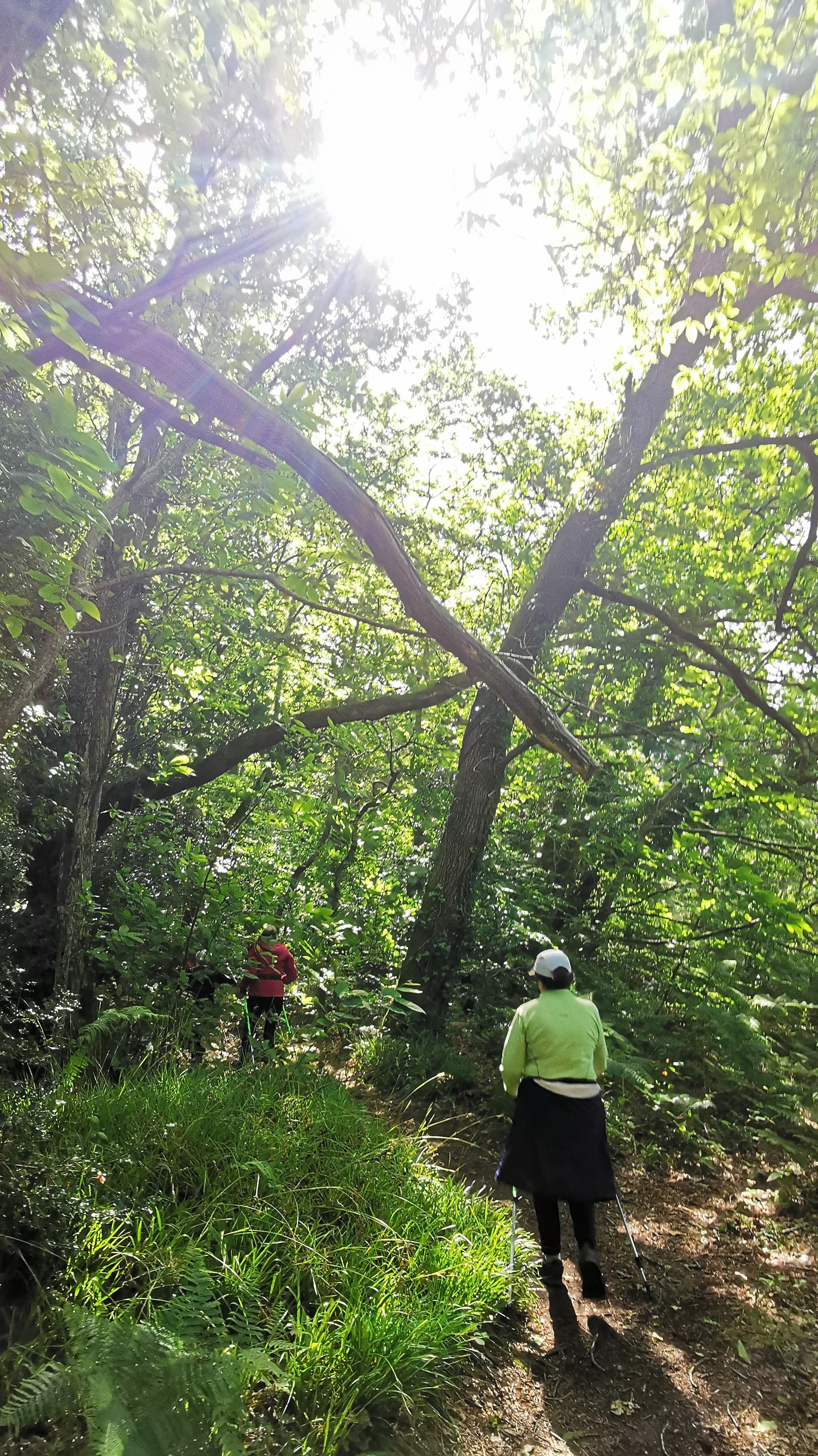 43-IMG_20210525_105559