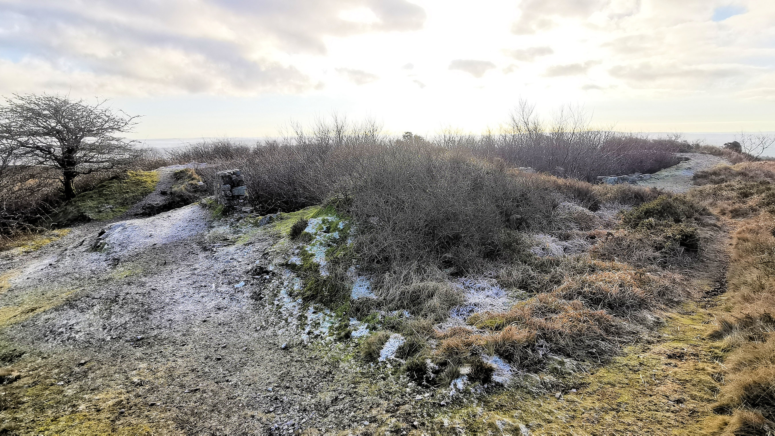 117-IMG_20210110_111504