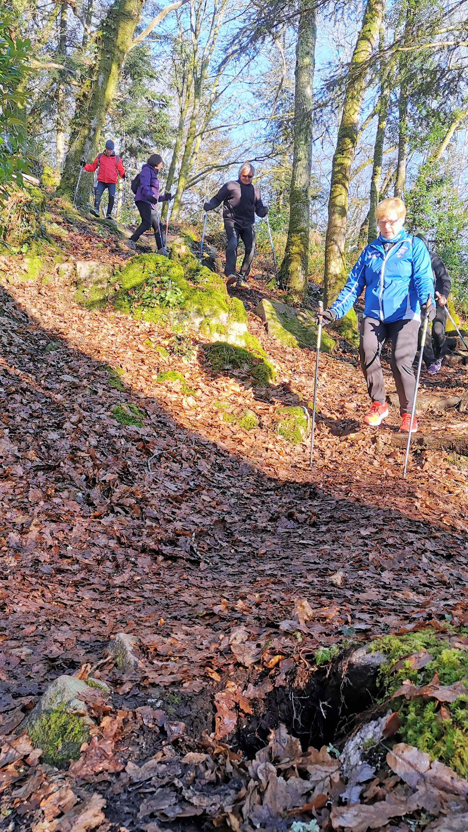 46-IMG_20210109_110455