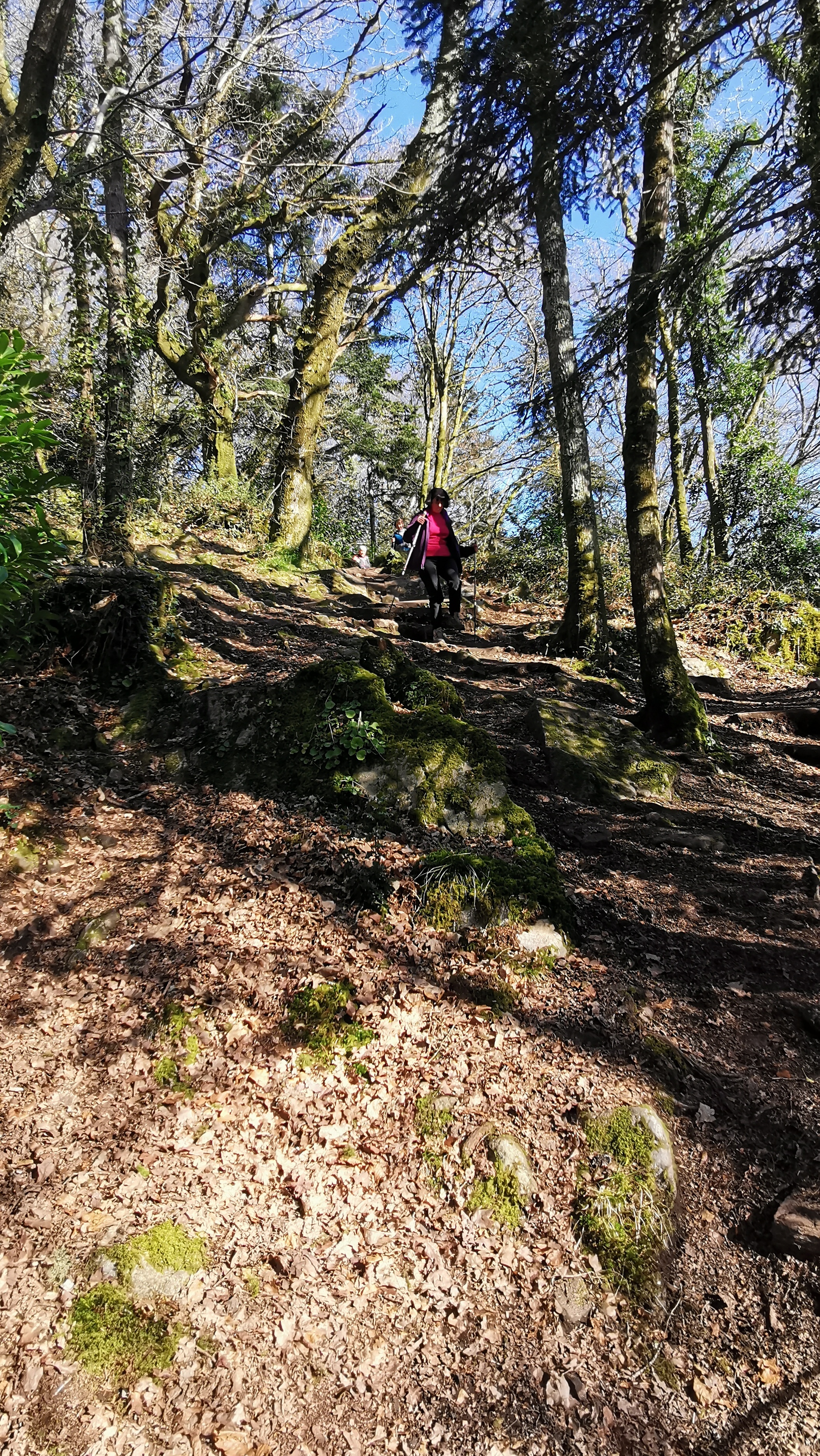 12-IMG_20210320_101116