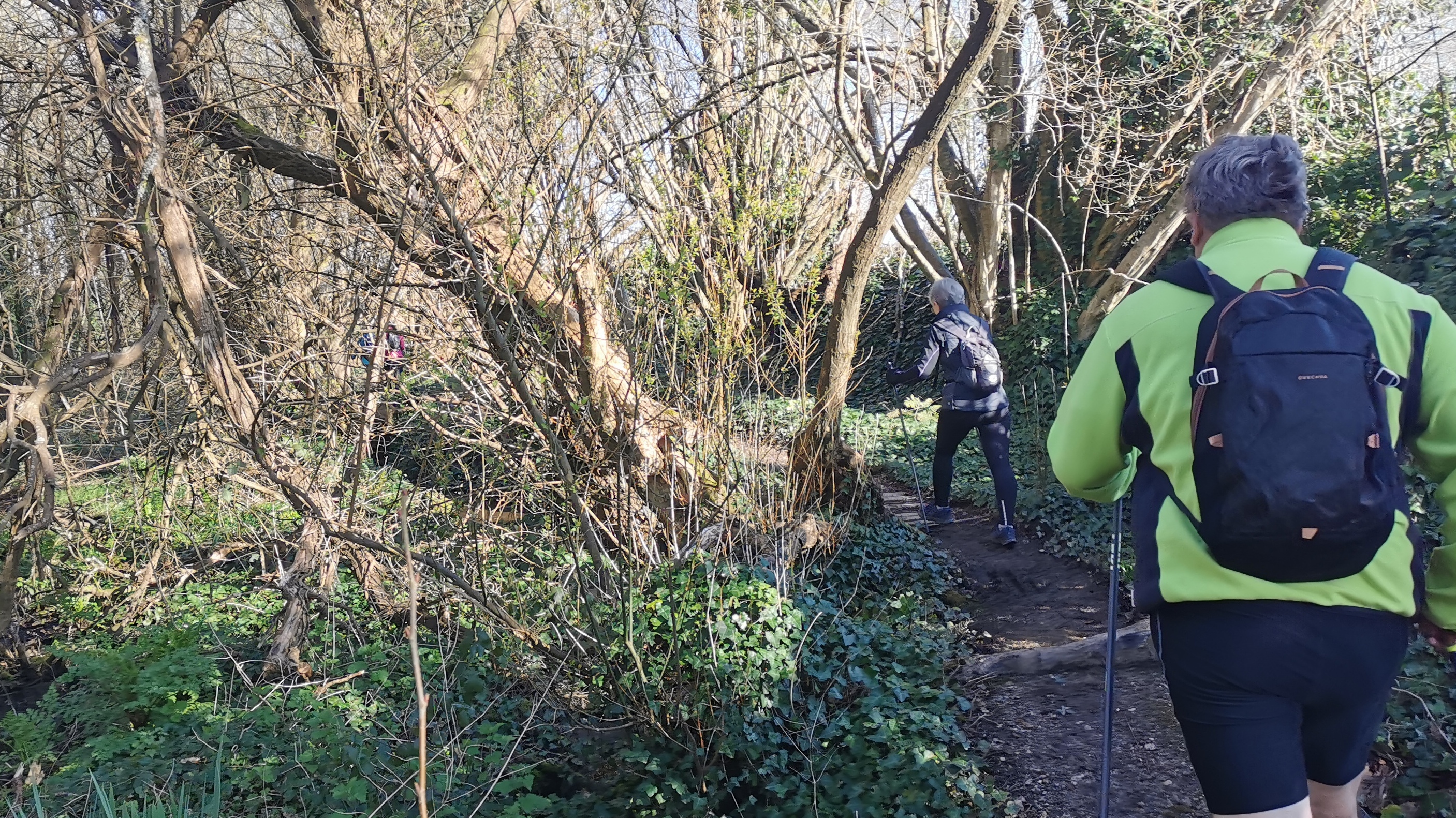 19-IMG_20210318_100004