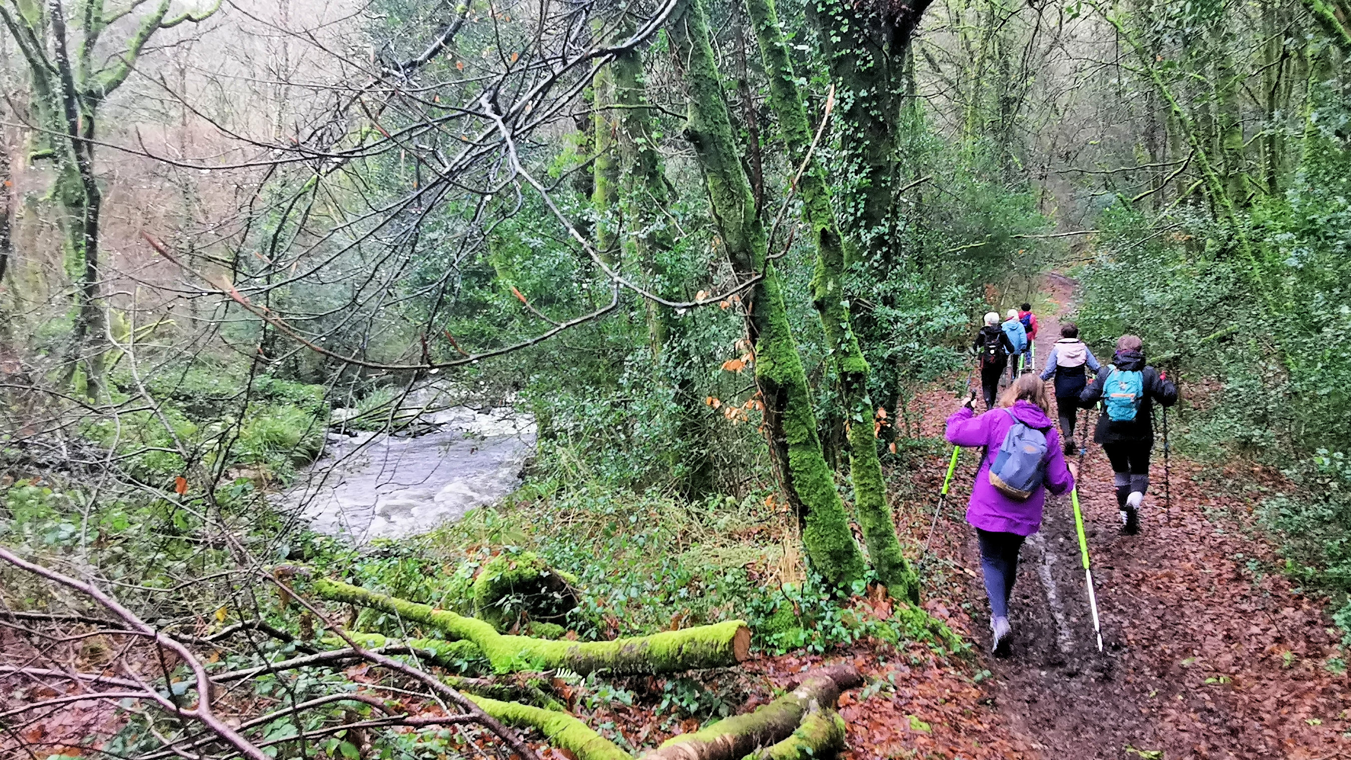 15-IMG_20210119_110215