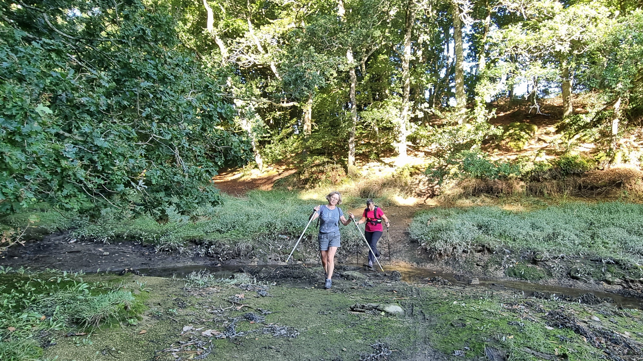 12-20210916_102931(0)