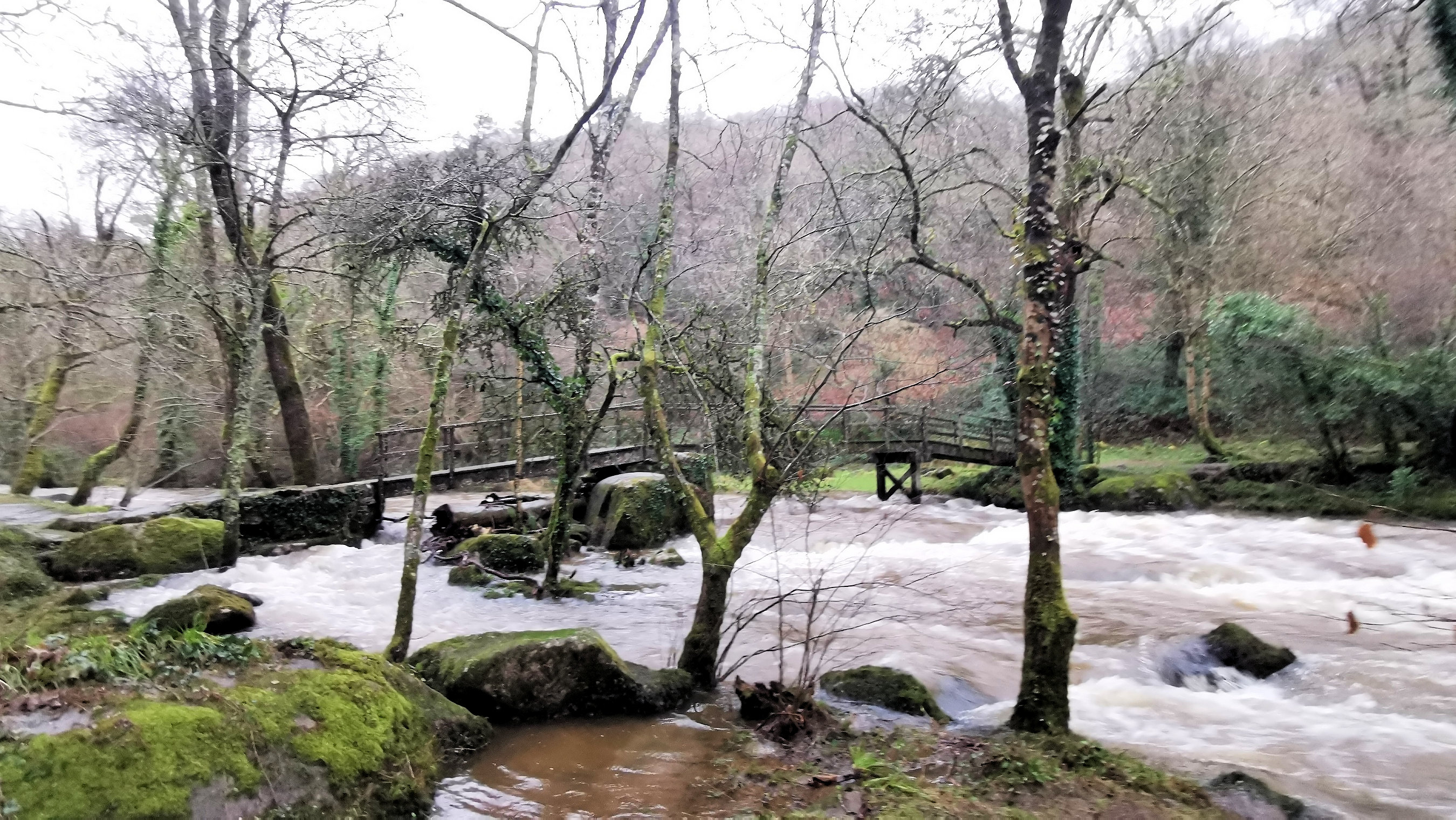 14-IMG_20210121_100700