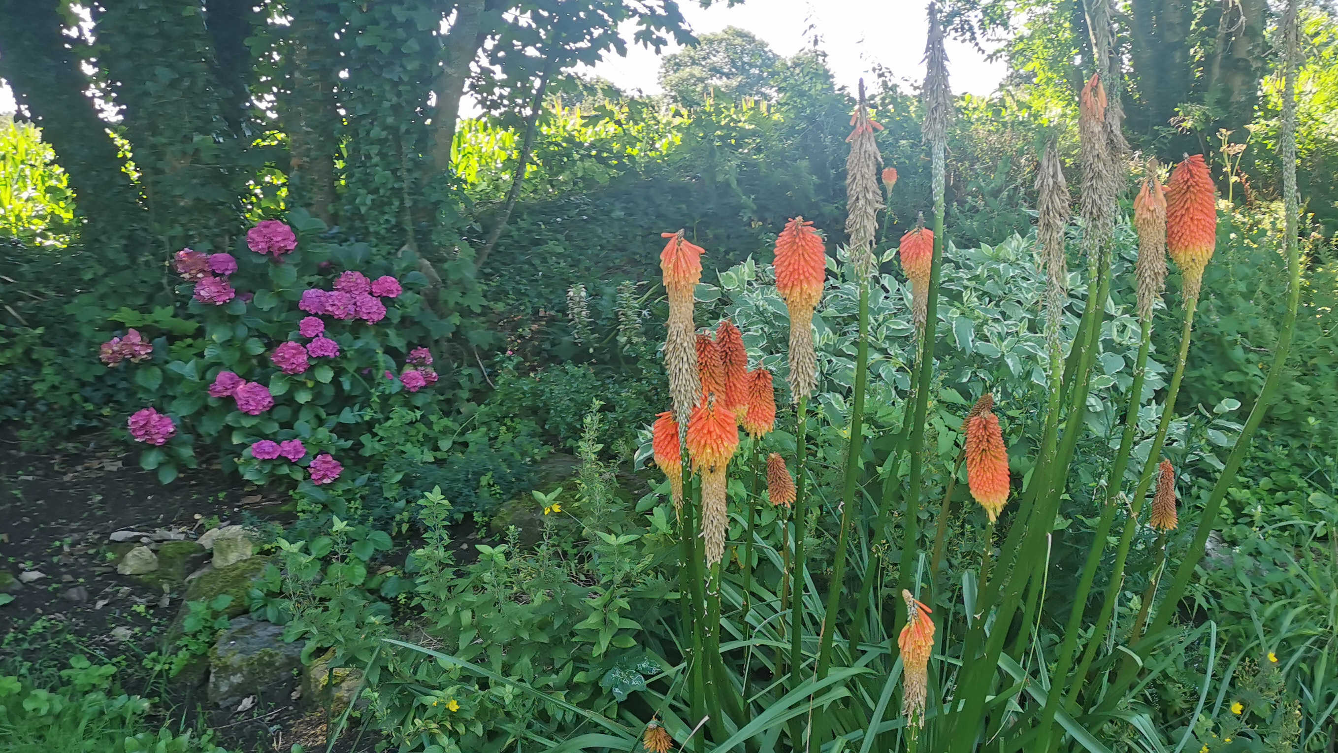 31-IMG_20210812_112430