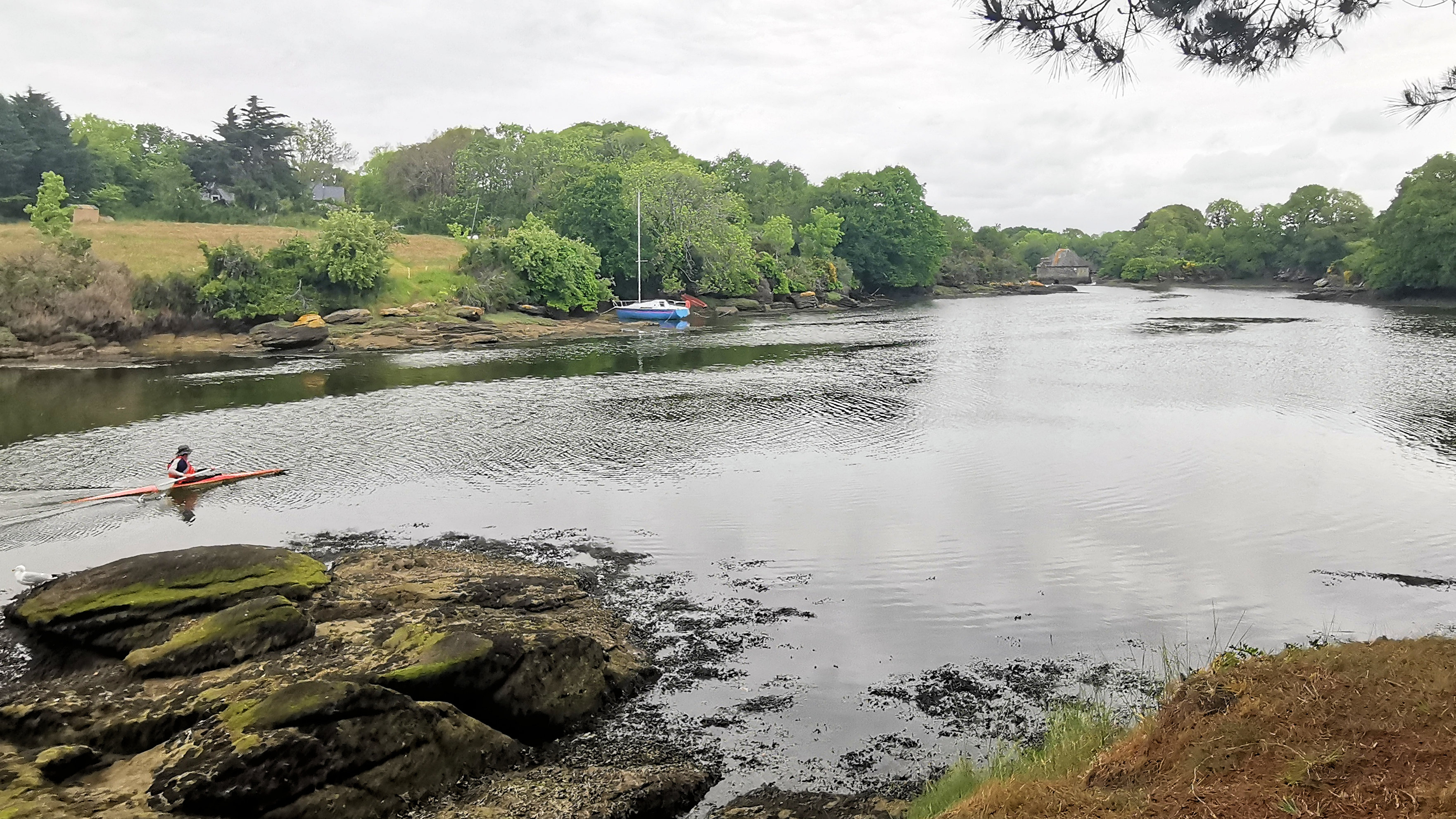 83-IMG_20210520_110512