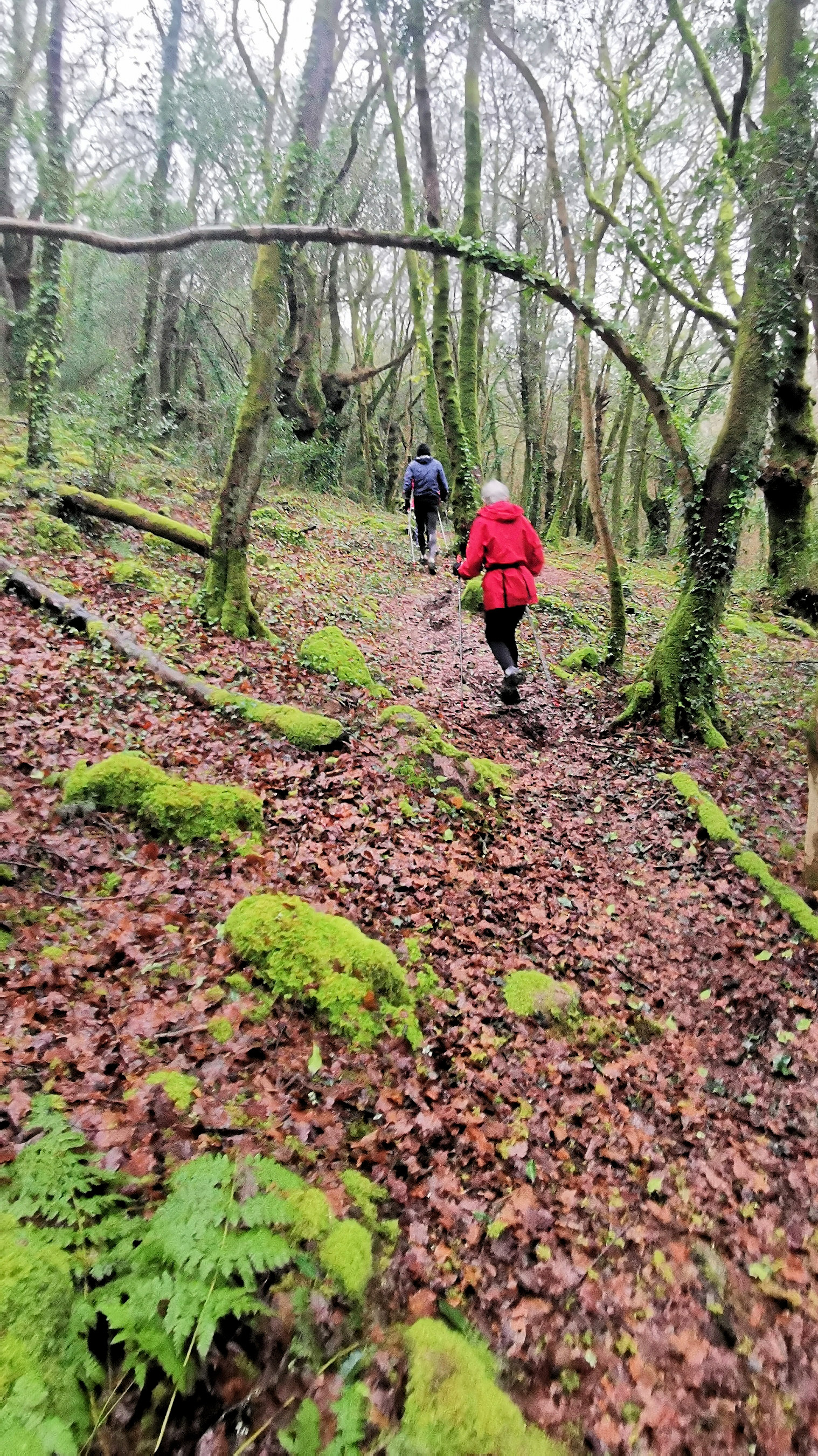 38-IMG_20210121_104012