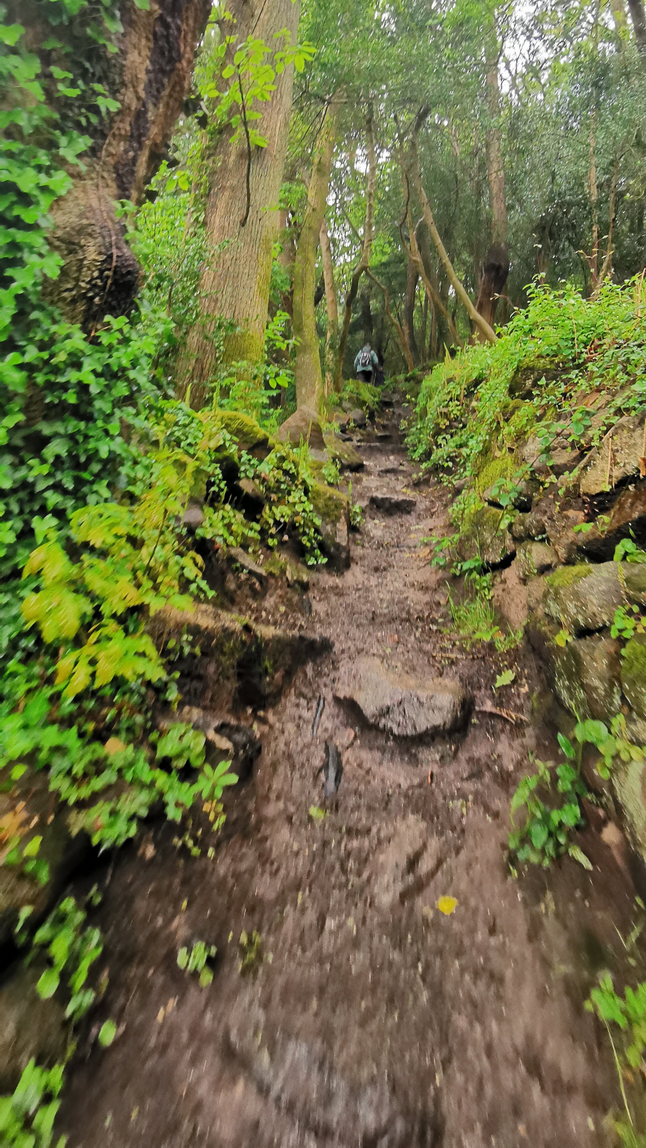 067-IMG_20210513_103627_1