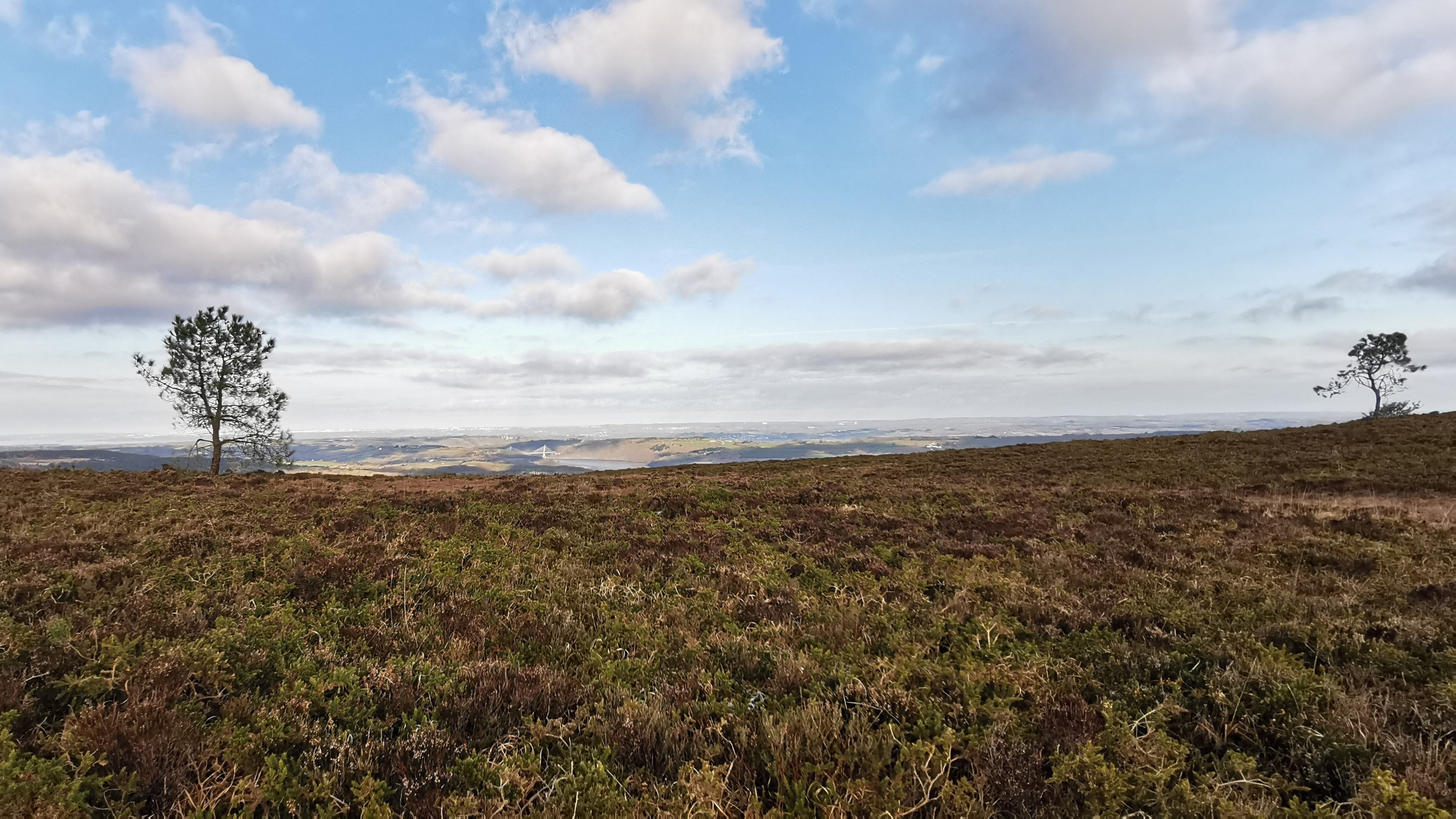 105-IMG_20210110_110517