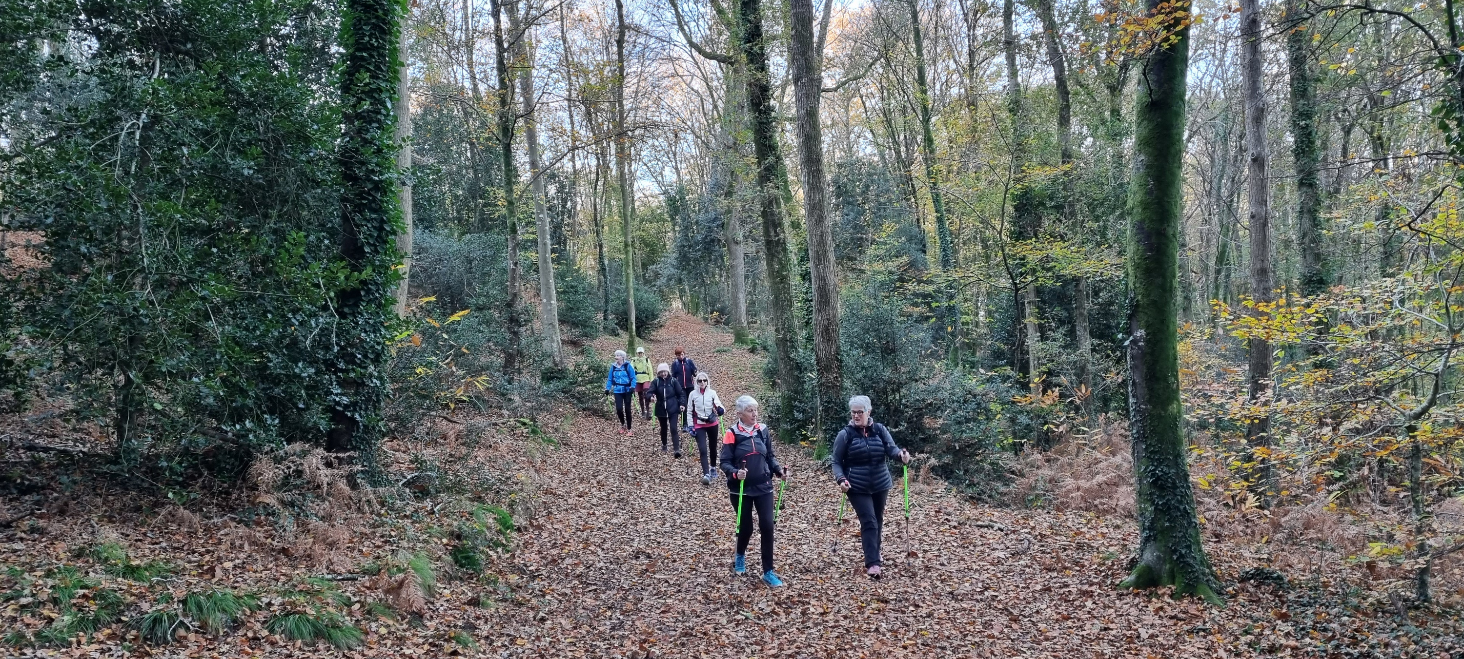 31-20211123_102133(0)