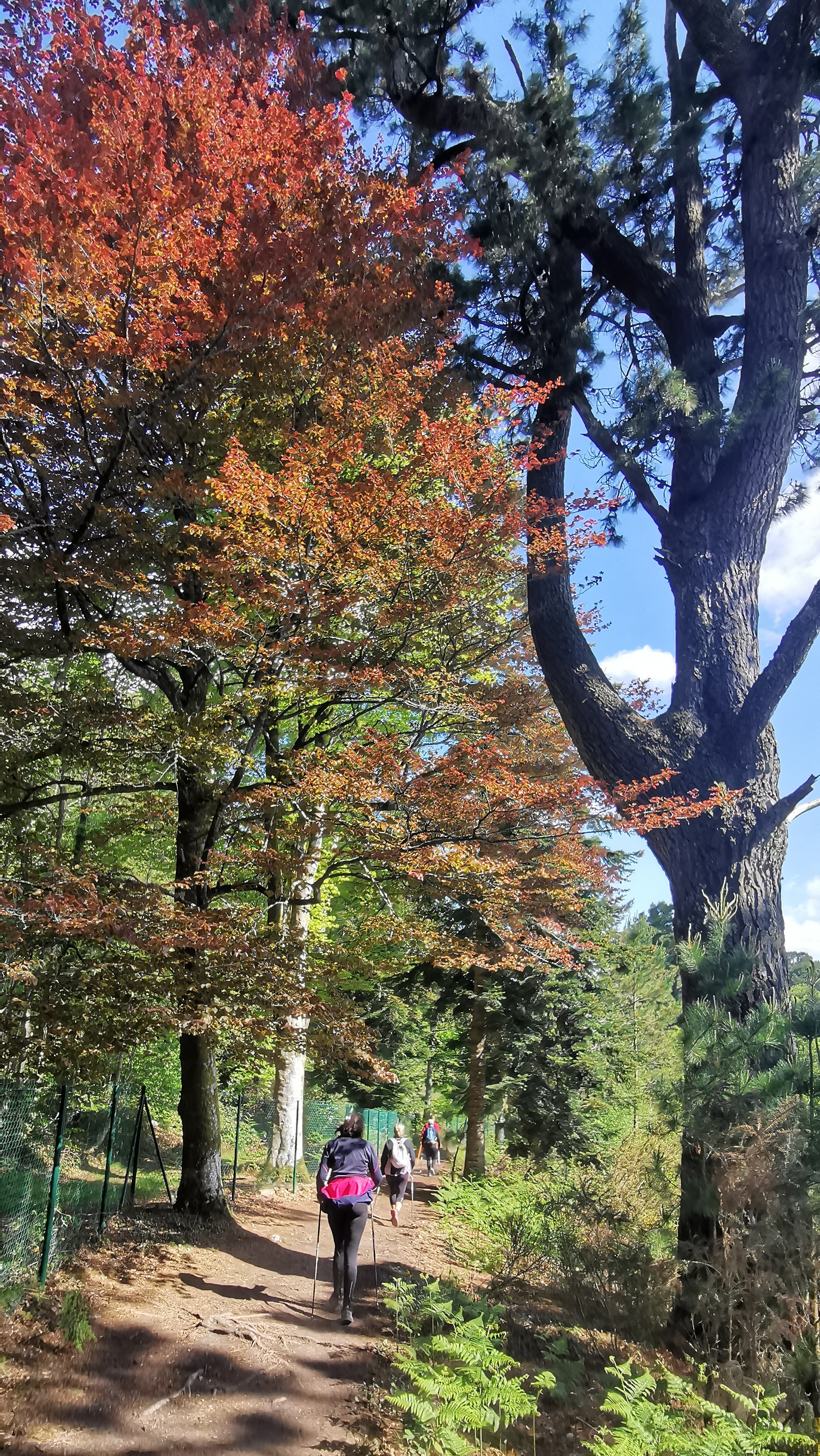 51-IMG_20210501_111818