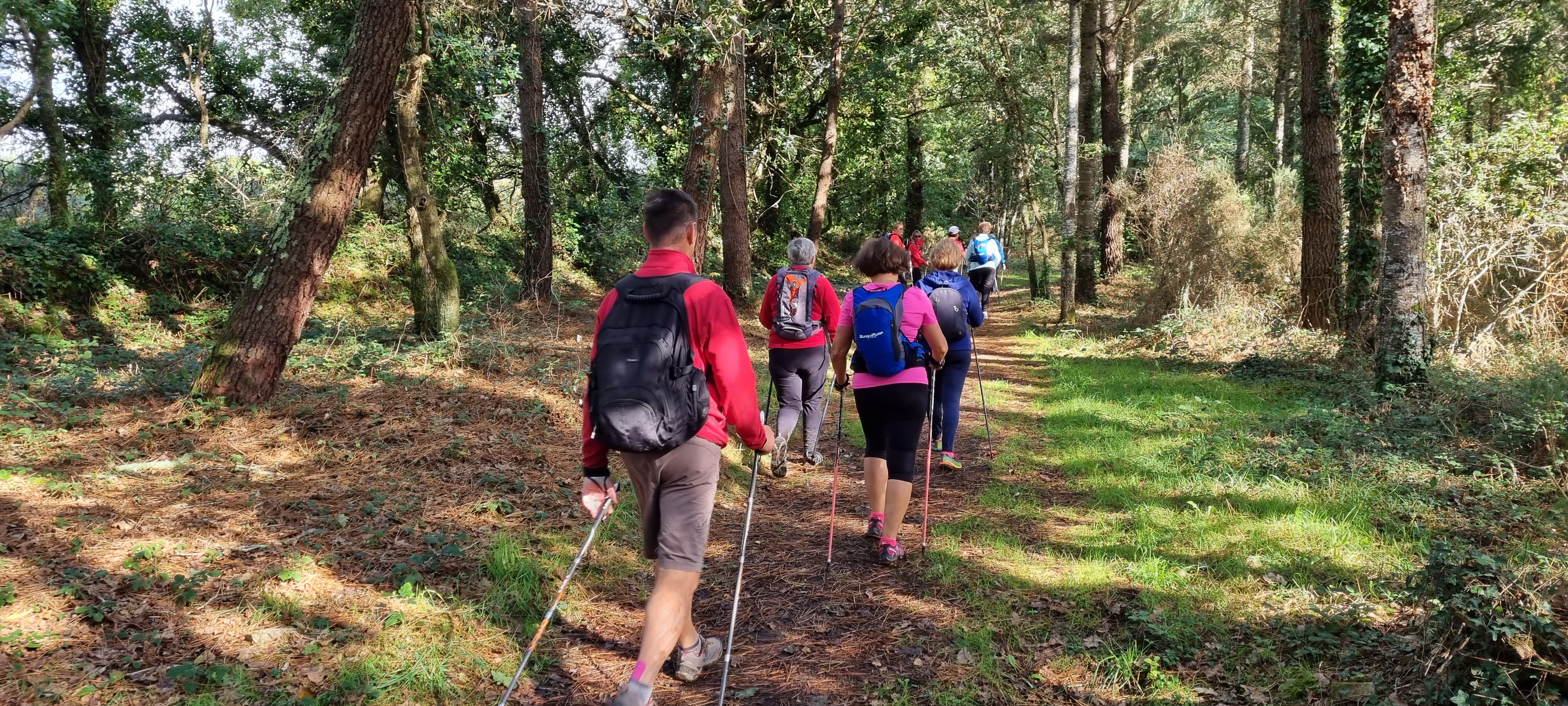 65-20211004_113538(0)