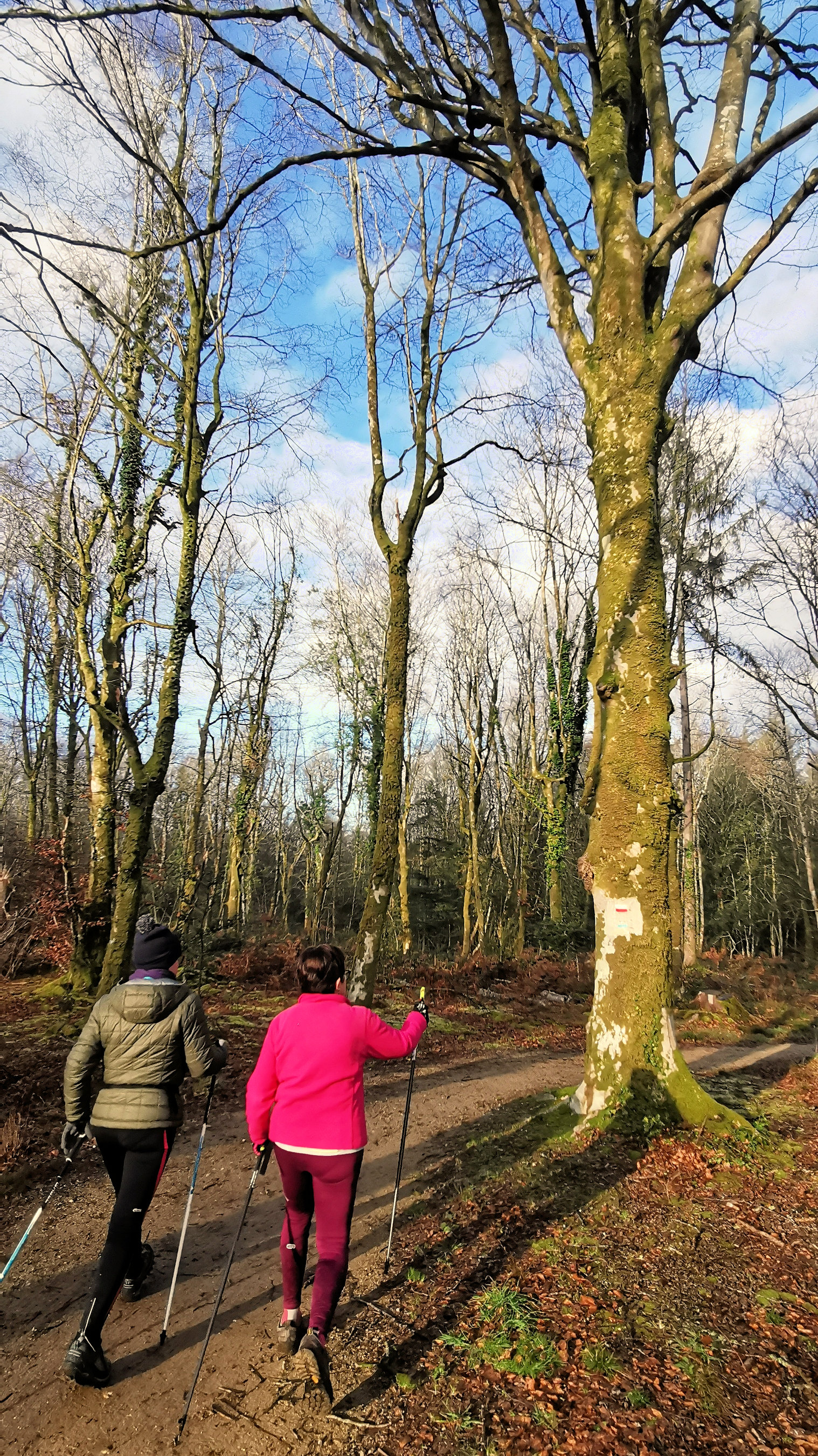 58-IMG_20210107_111745