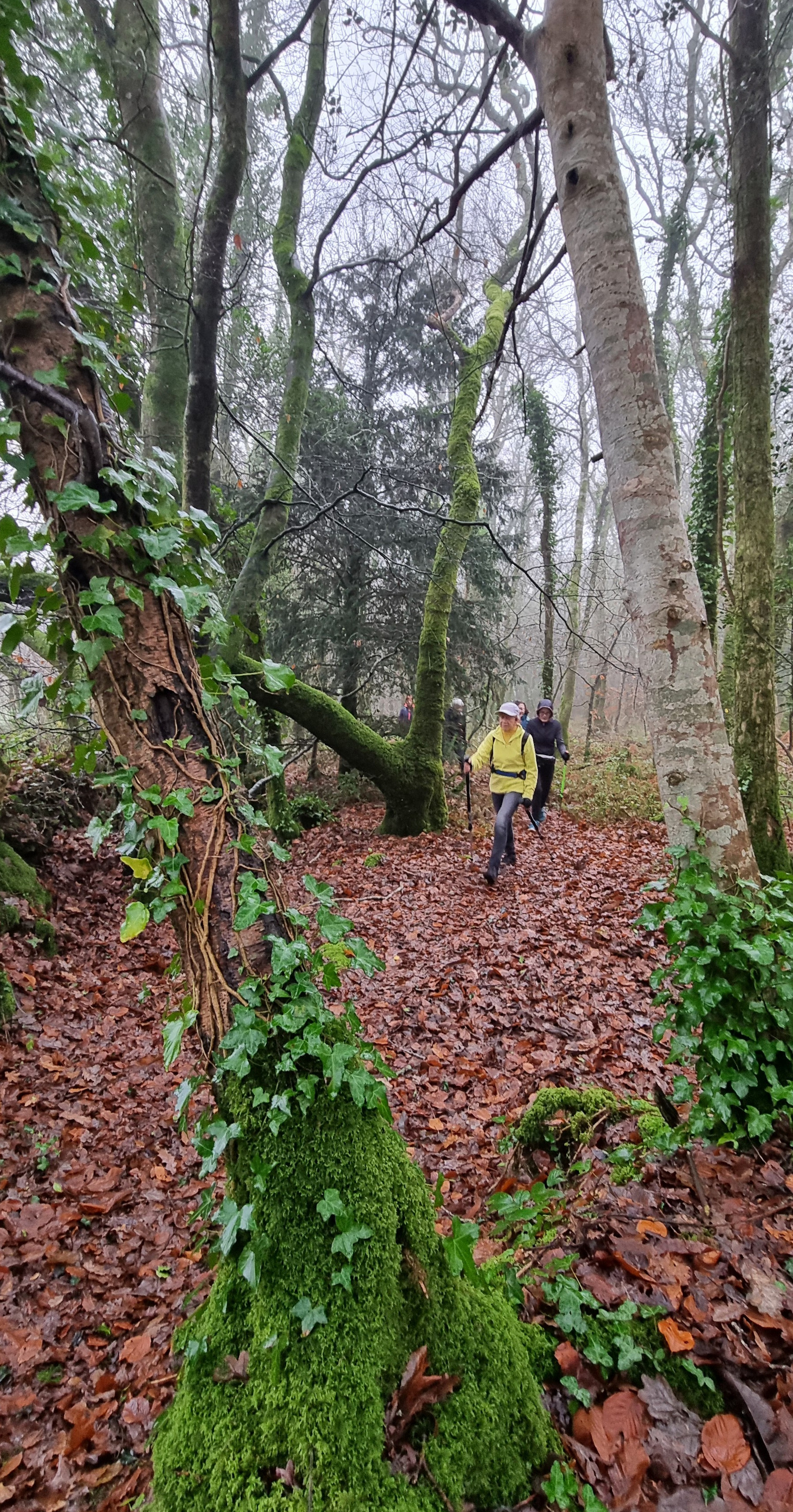 14-20211214_103533(0)