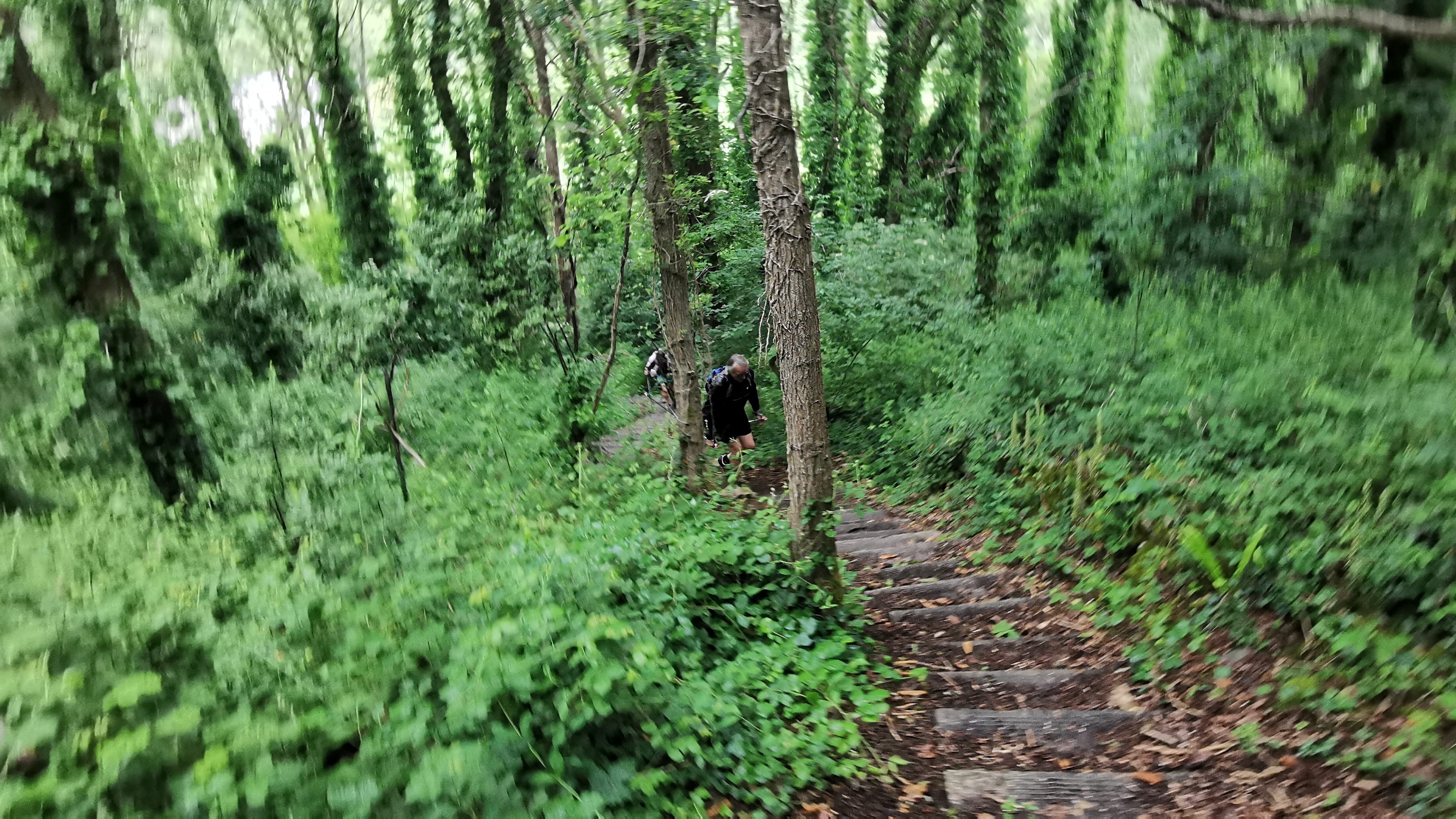 122-IMG_20210620_110705