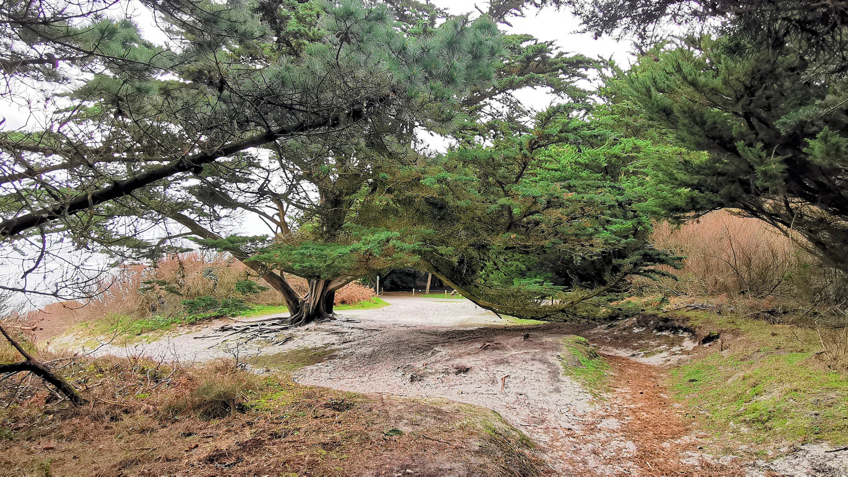 16-IMG_20210208_110150