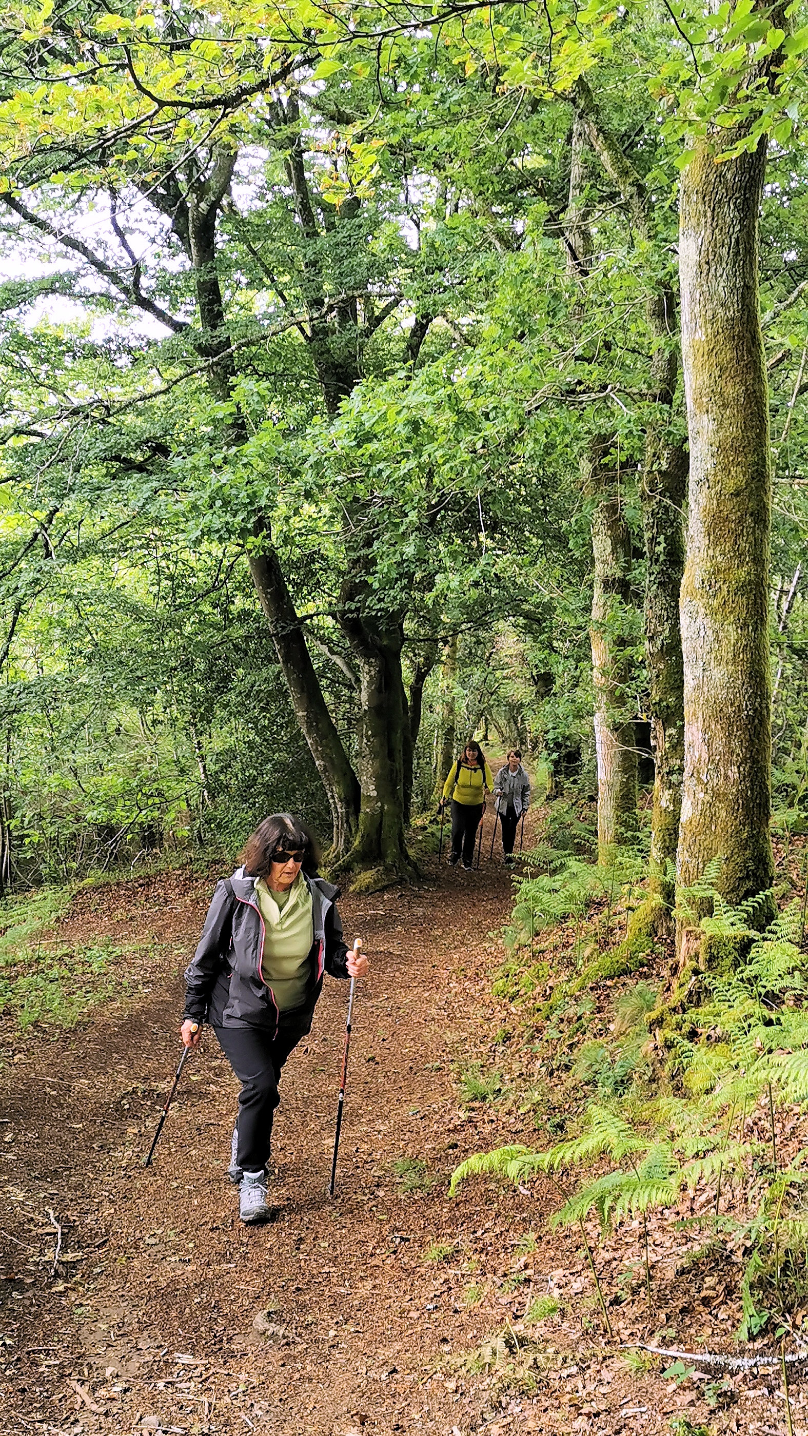 33-IMG_20210522_110345