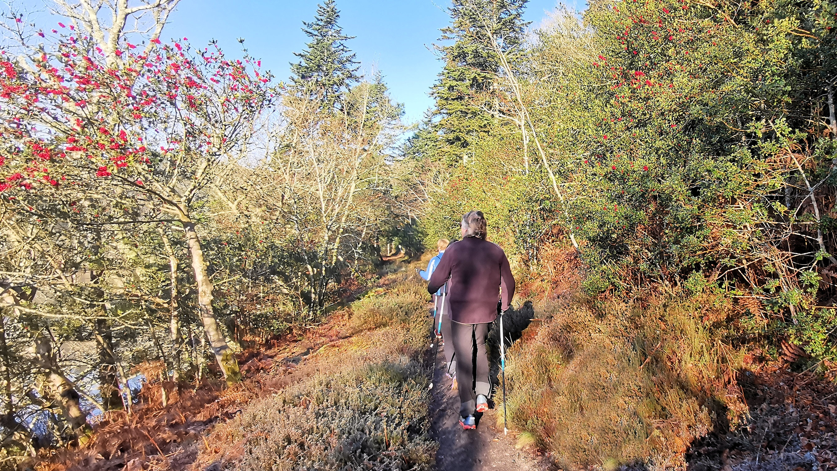 36-IMG_20210109_105347_1