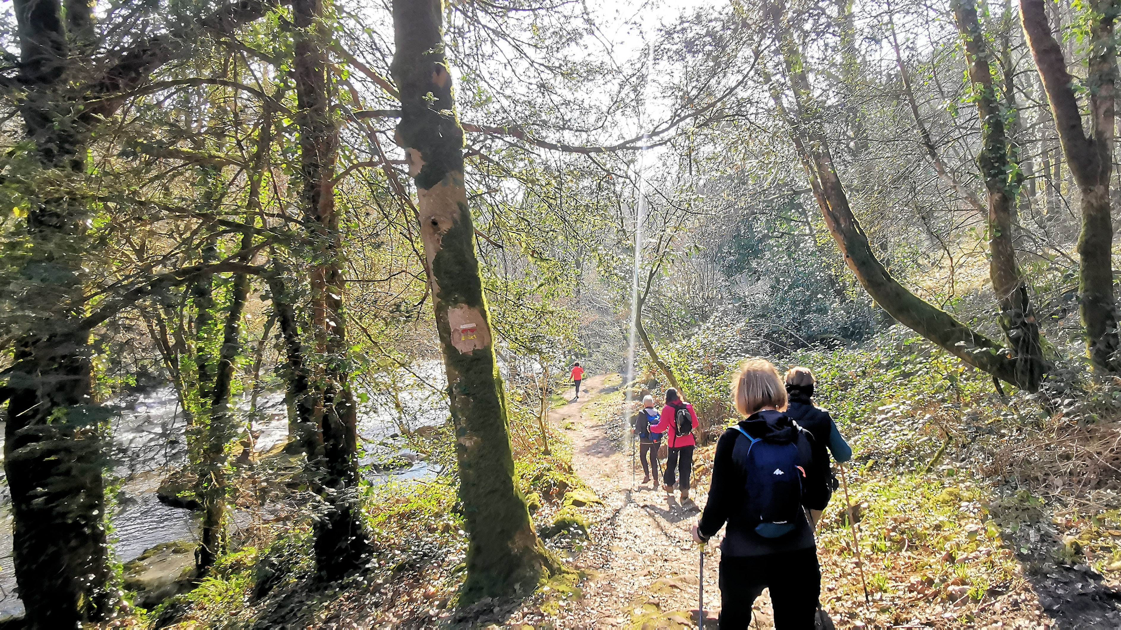 72-IMG_20210307_110036