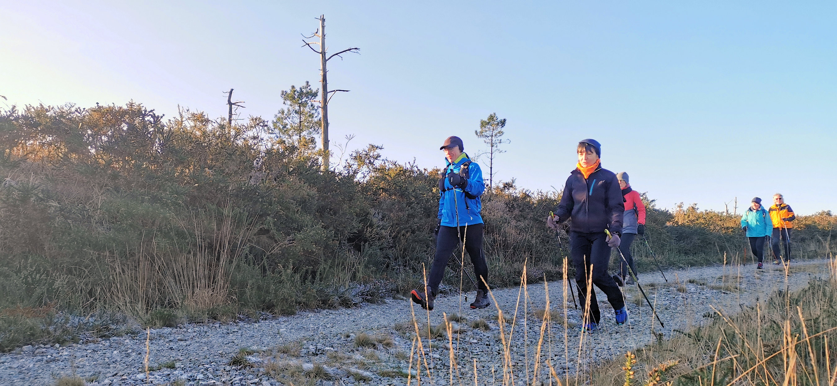 046-IMG_20210110_103607