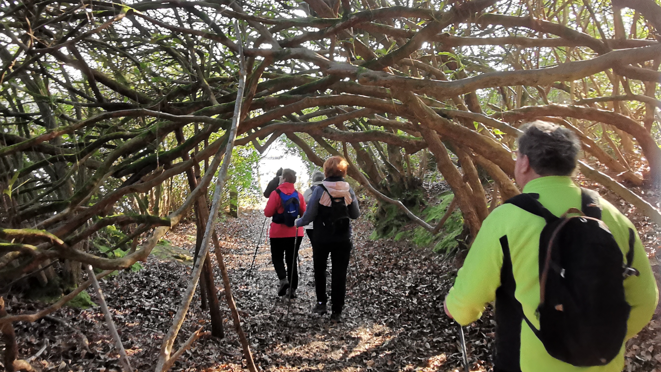 22-IMG_20210308_104138