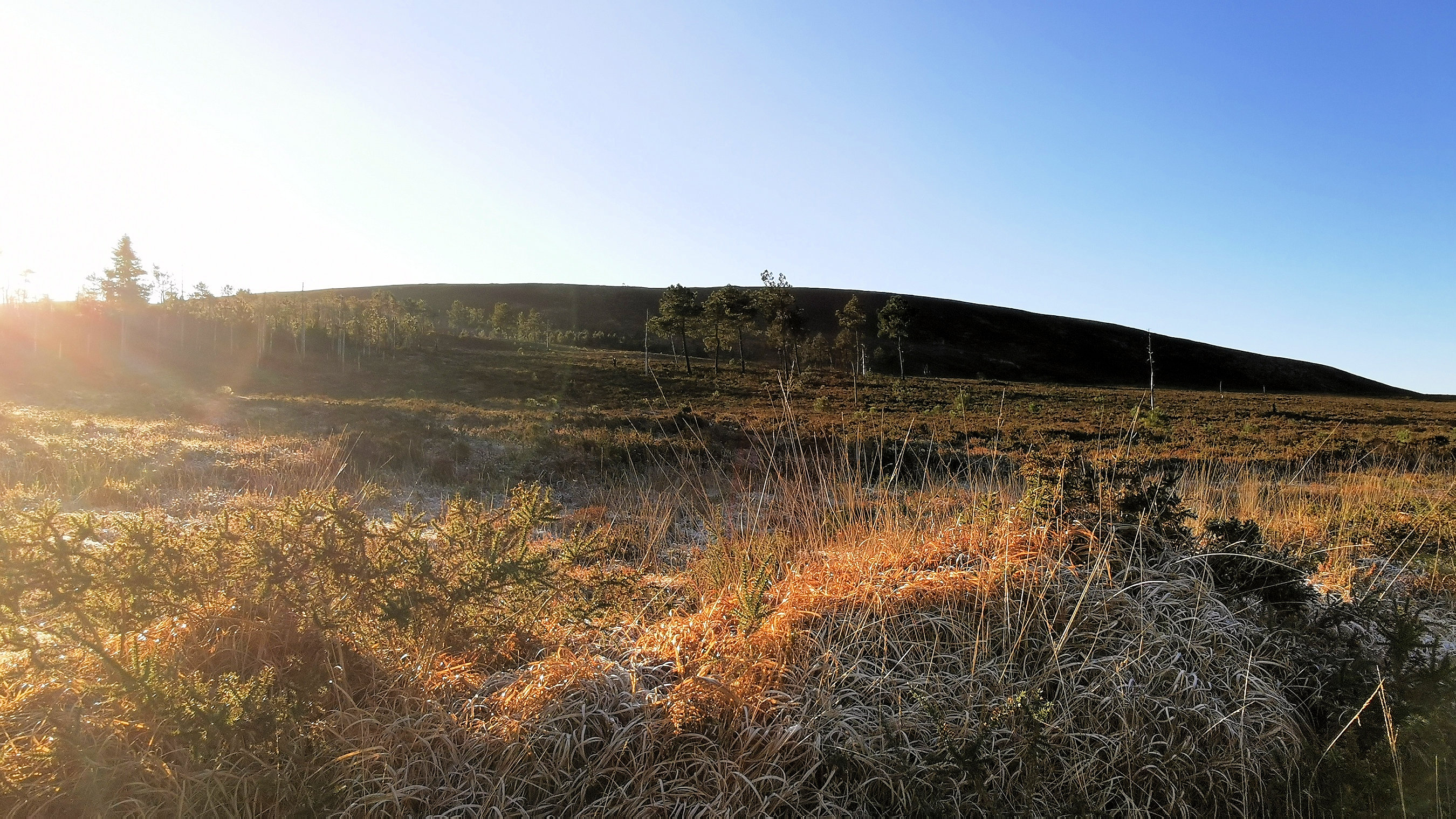 059-IMG_20210110_104101