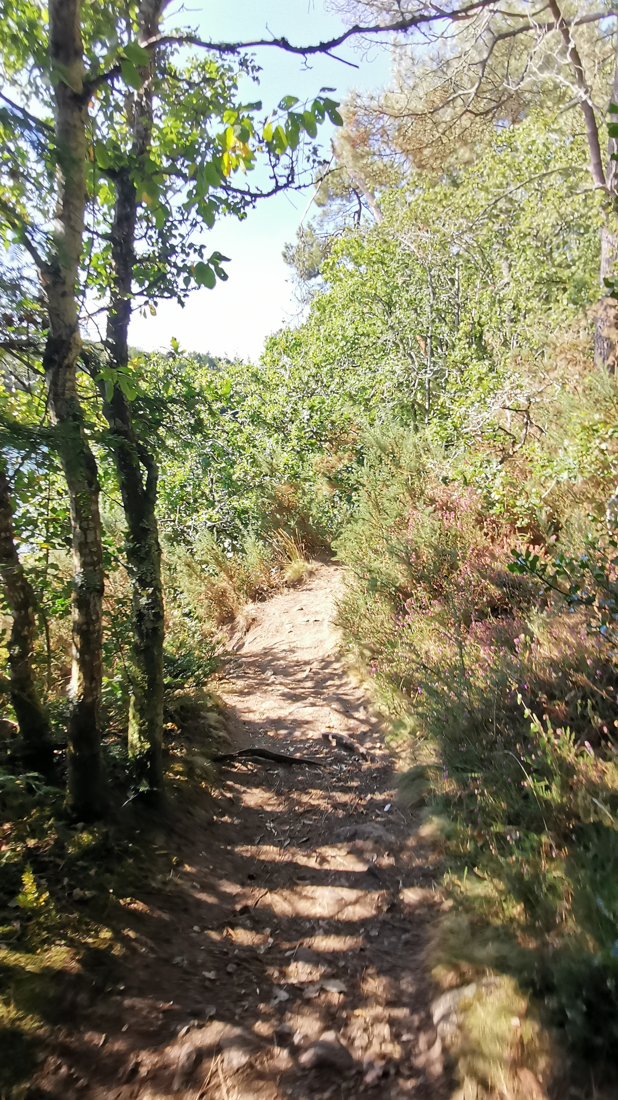 33-IMG_20210829_113050