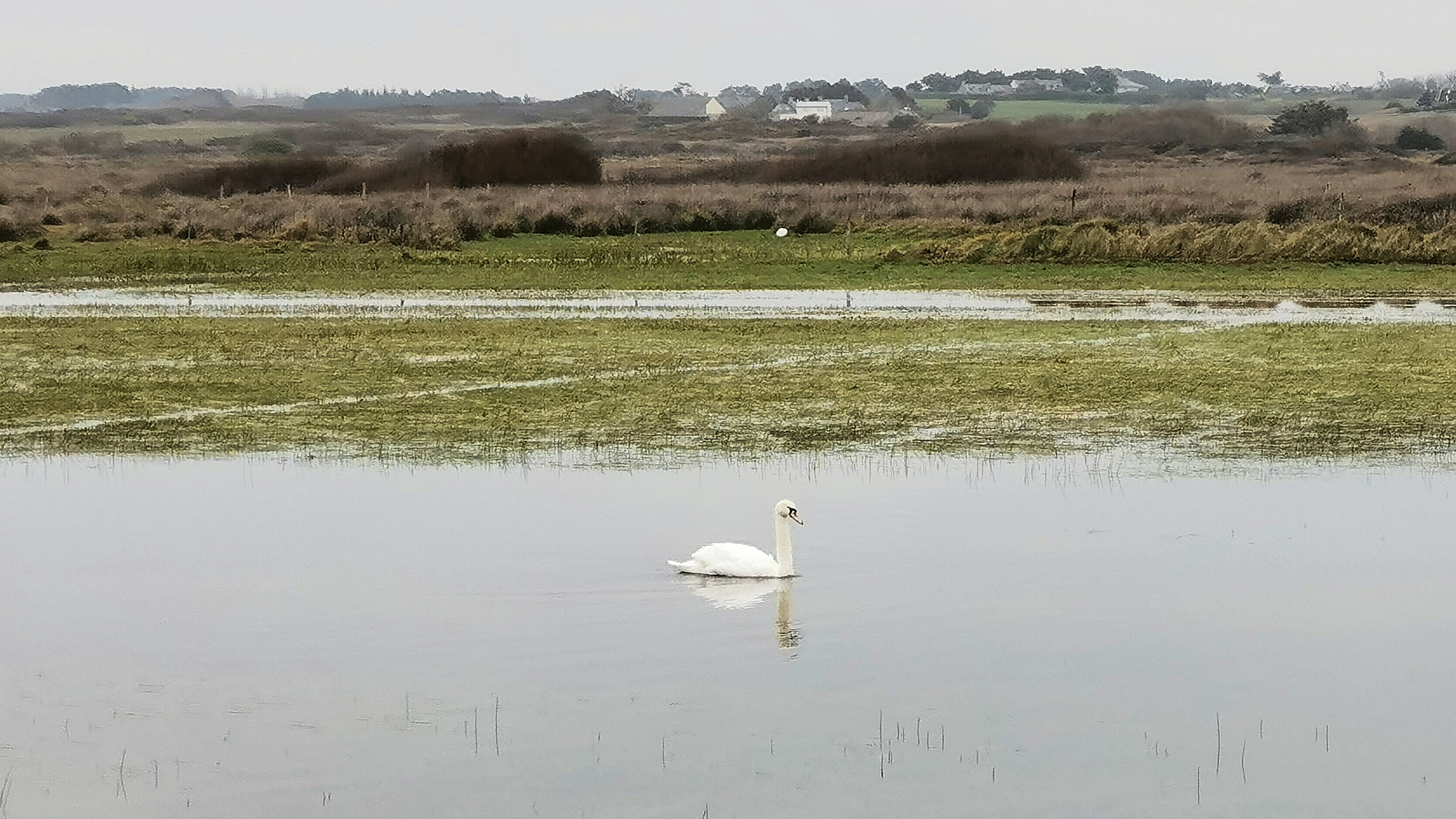 06-IMG_20210321_091103